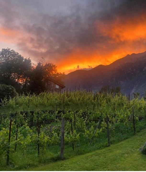 Agriturismo TorreScilano