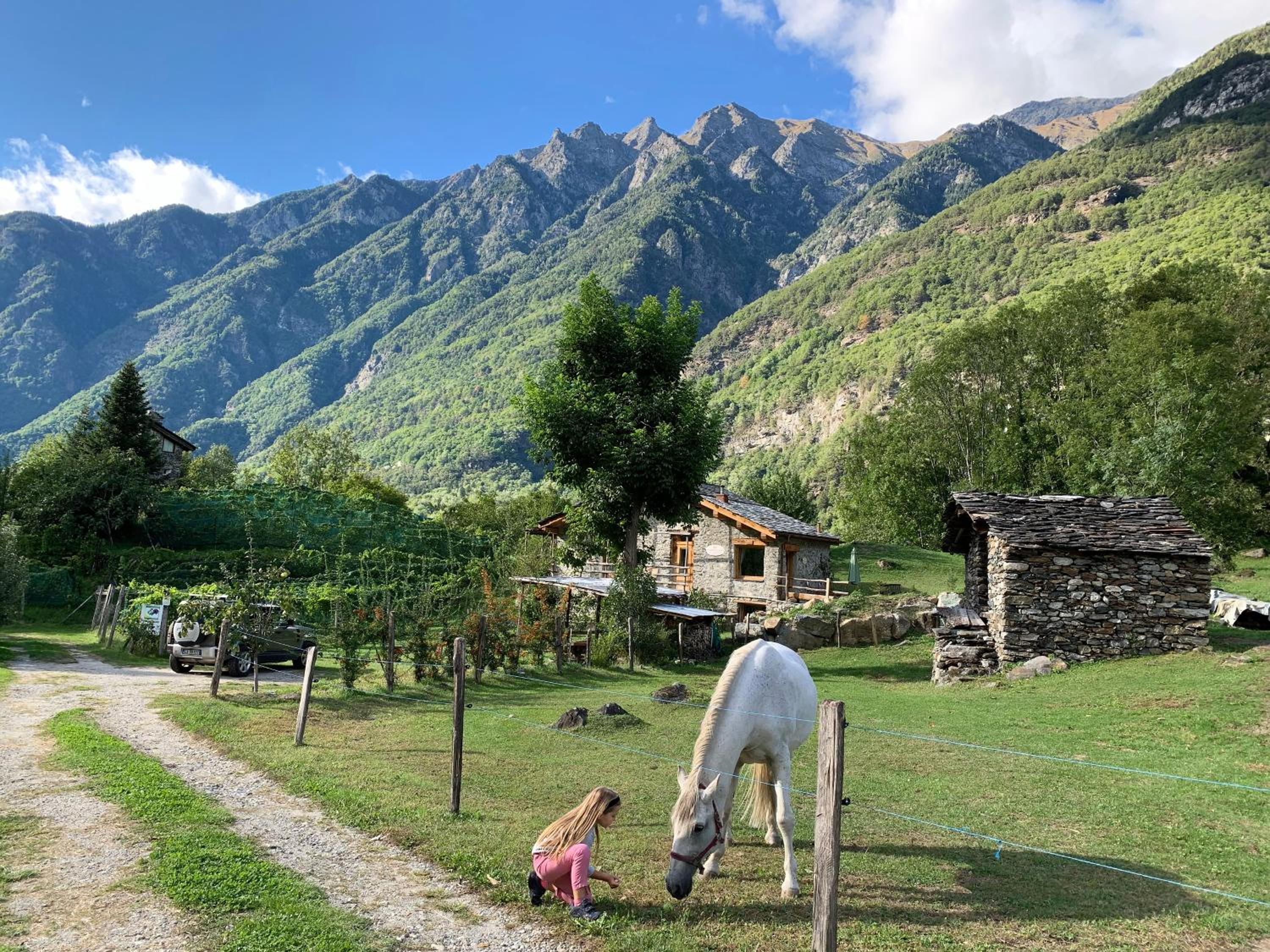 Agriturismo TorreScilano