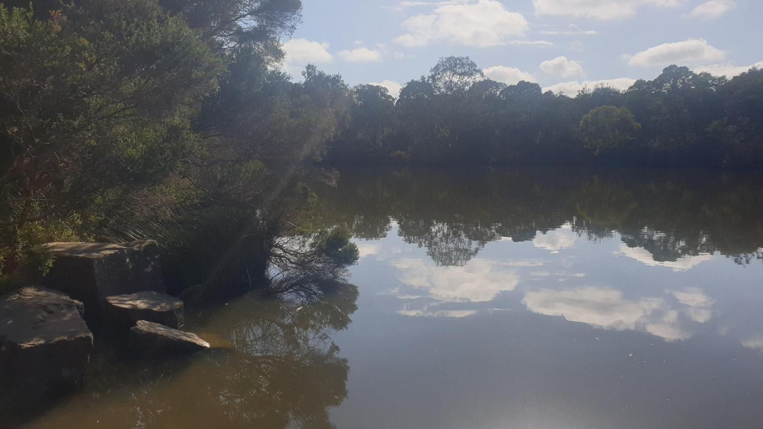 Blackburn Lake Bed and Breakfast
