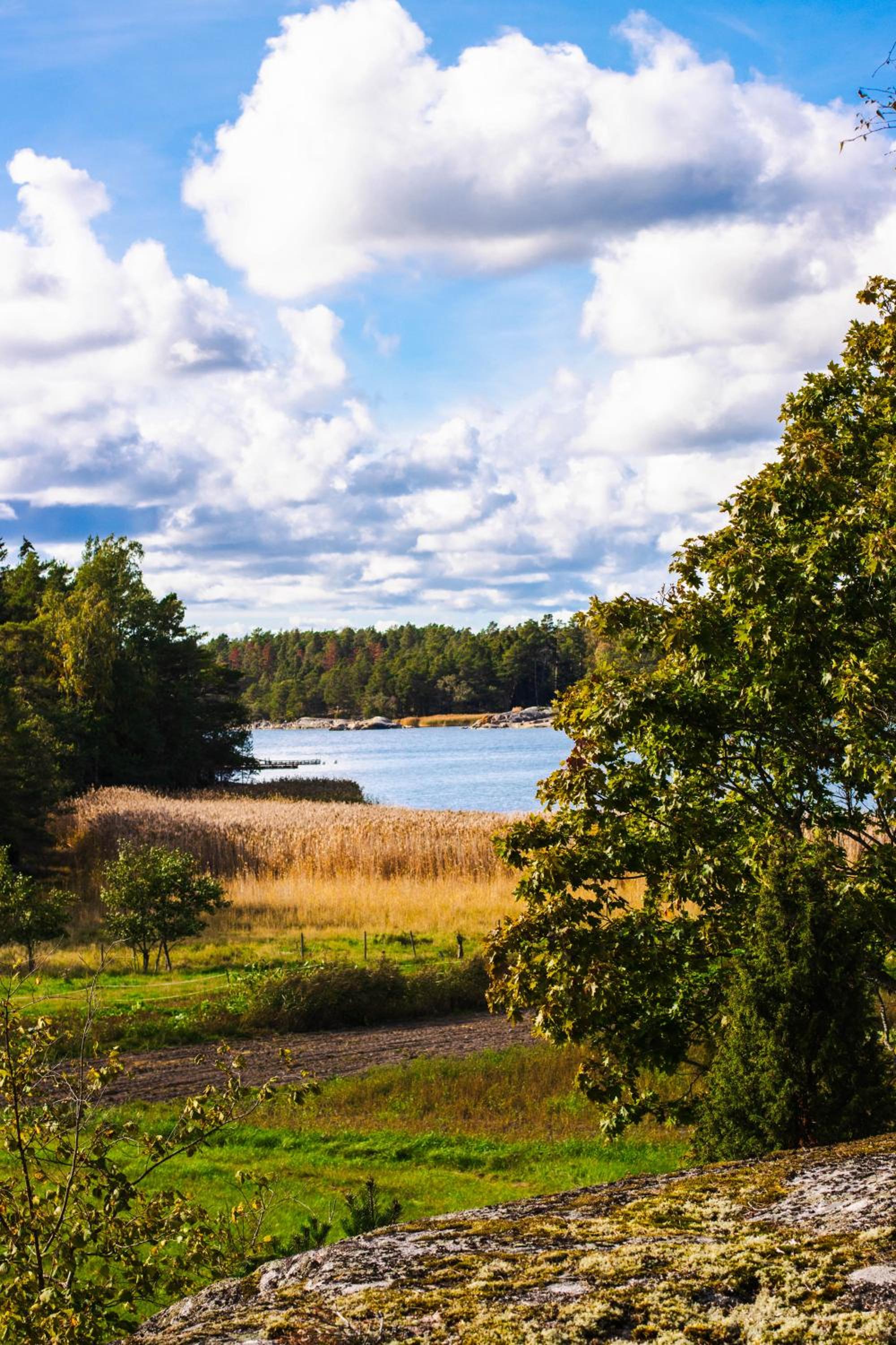 Västeräng Glamping