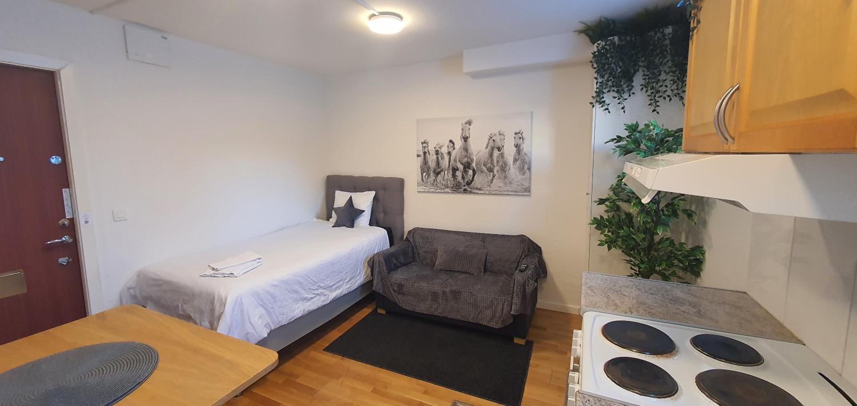 Studio apartment near metro and forest!