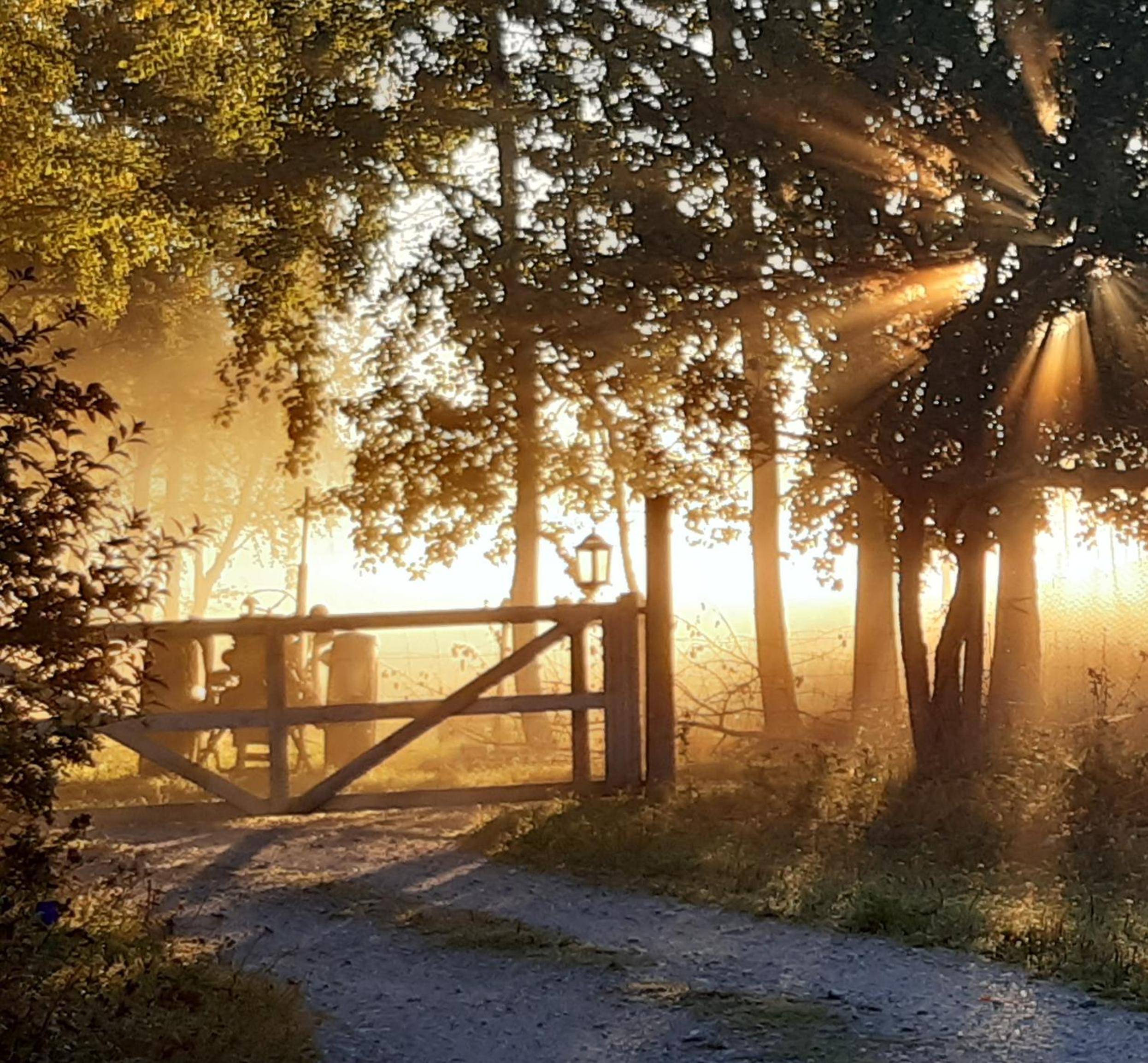 Västeräng Glamping