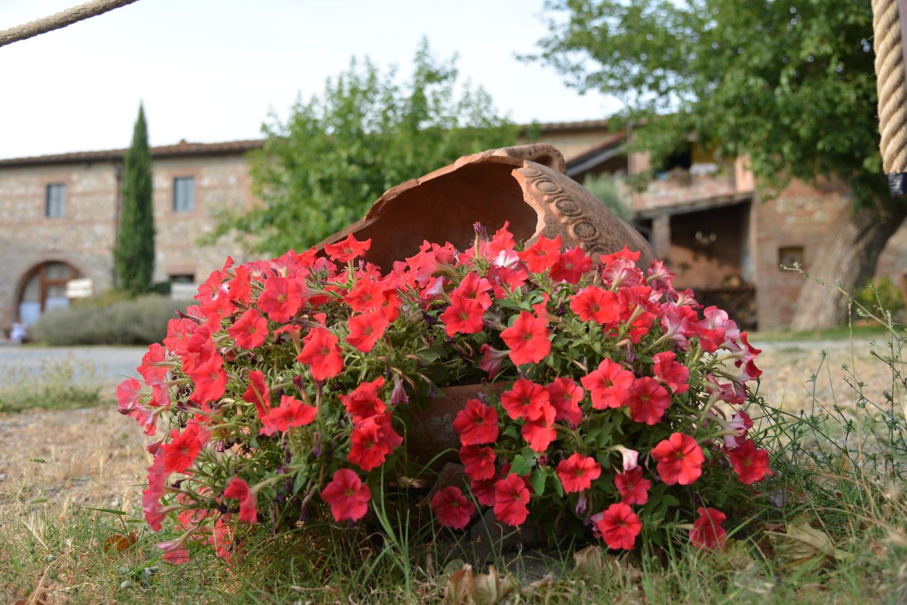 Casa Di Campagna In Toscana
