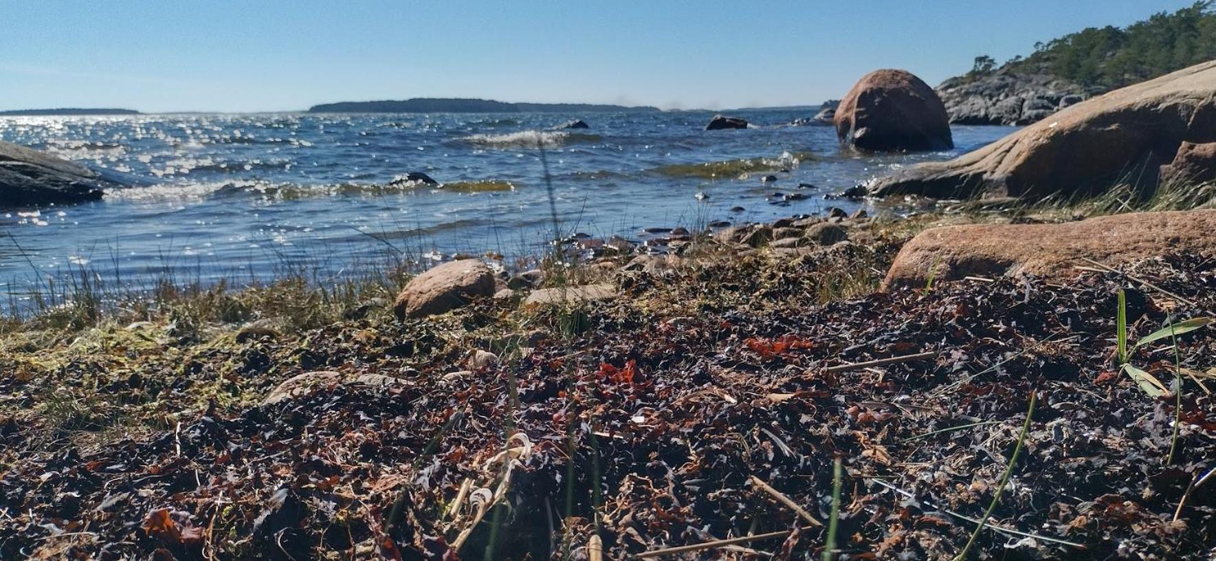 Västeräng Glamping