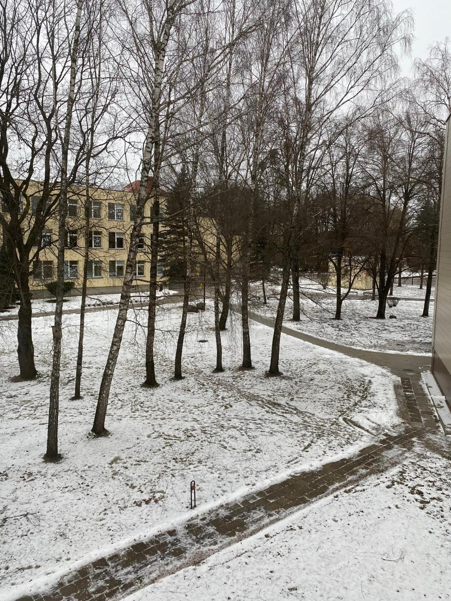 Marijos apartamentai
