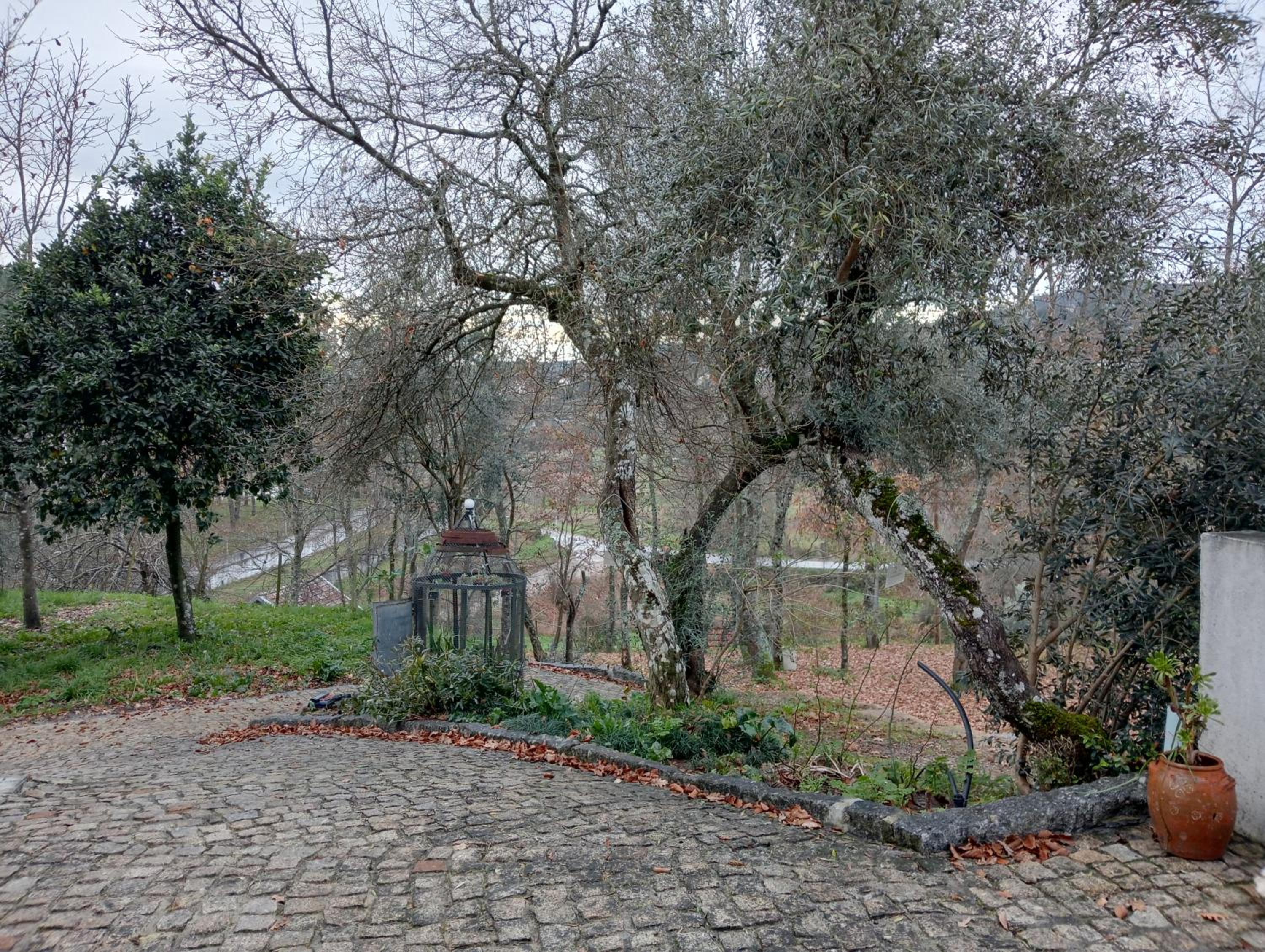 VianasHome view 5