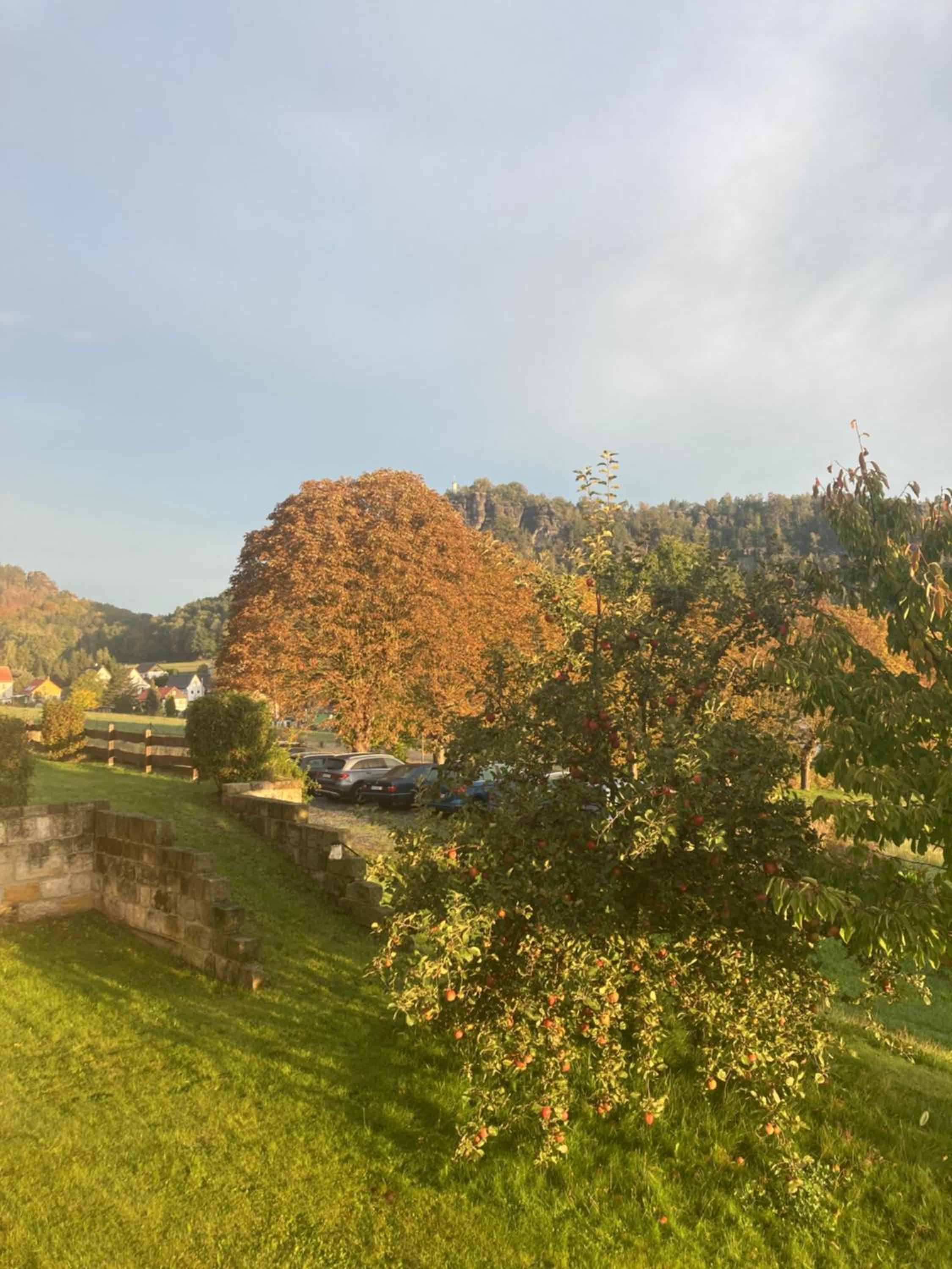 Landhaus Böhmer, Ferienwohnung Gohrisch