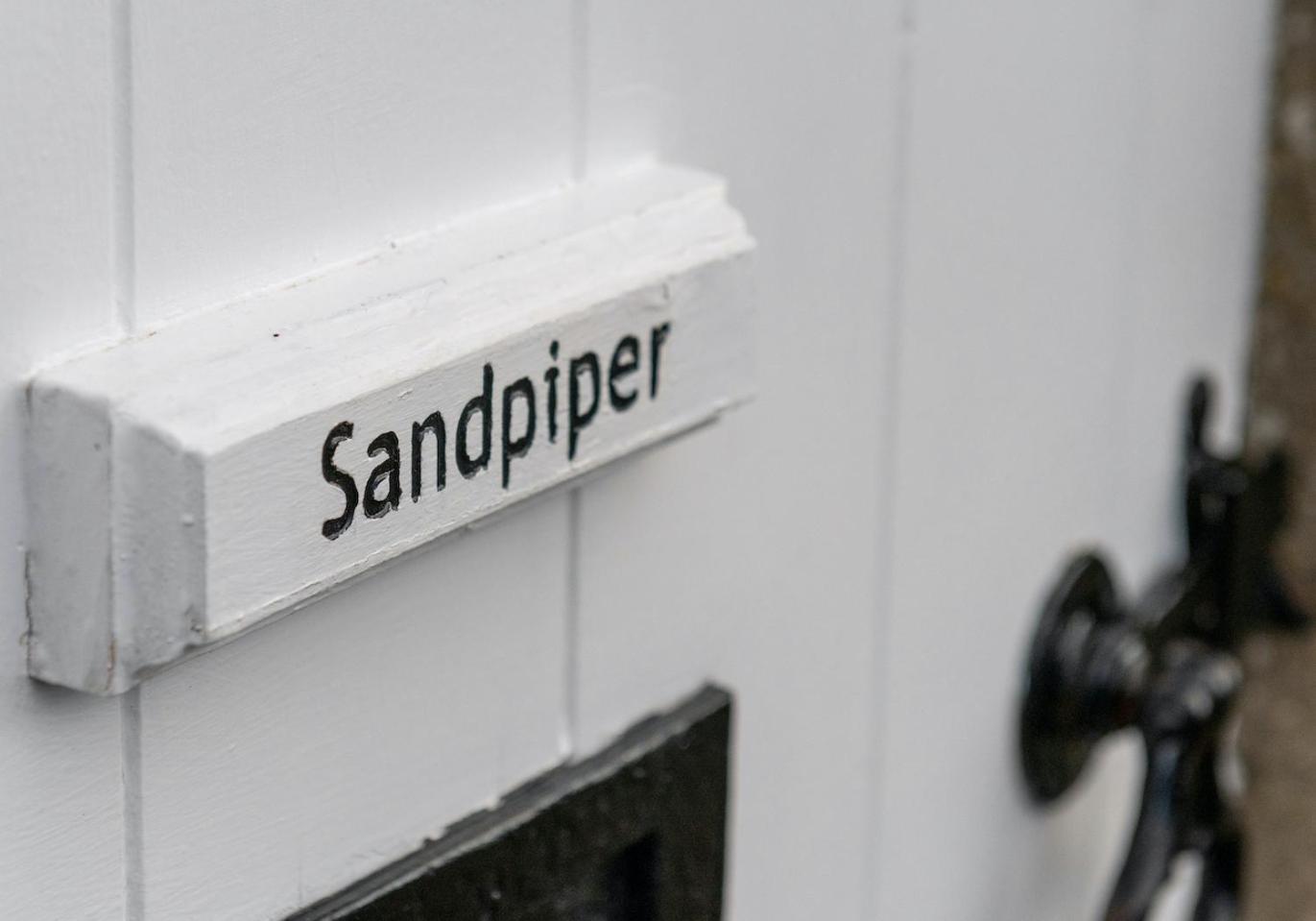 Sandpiper