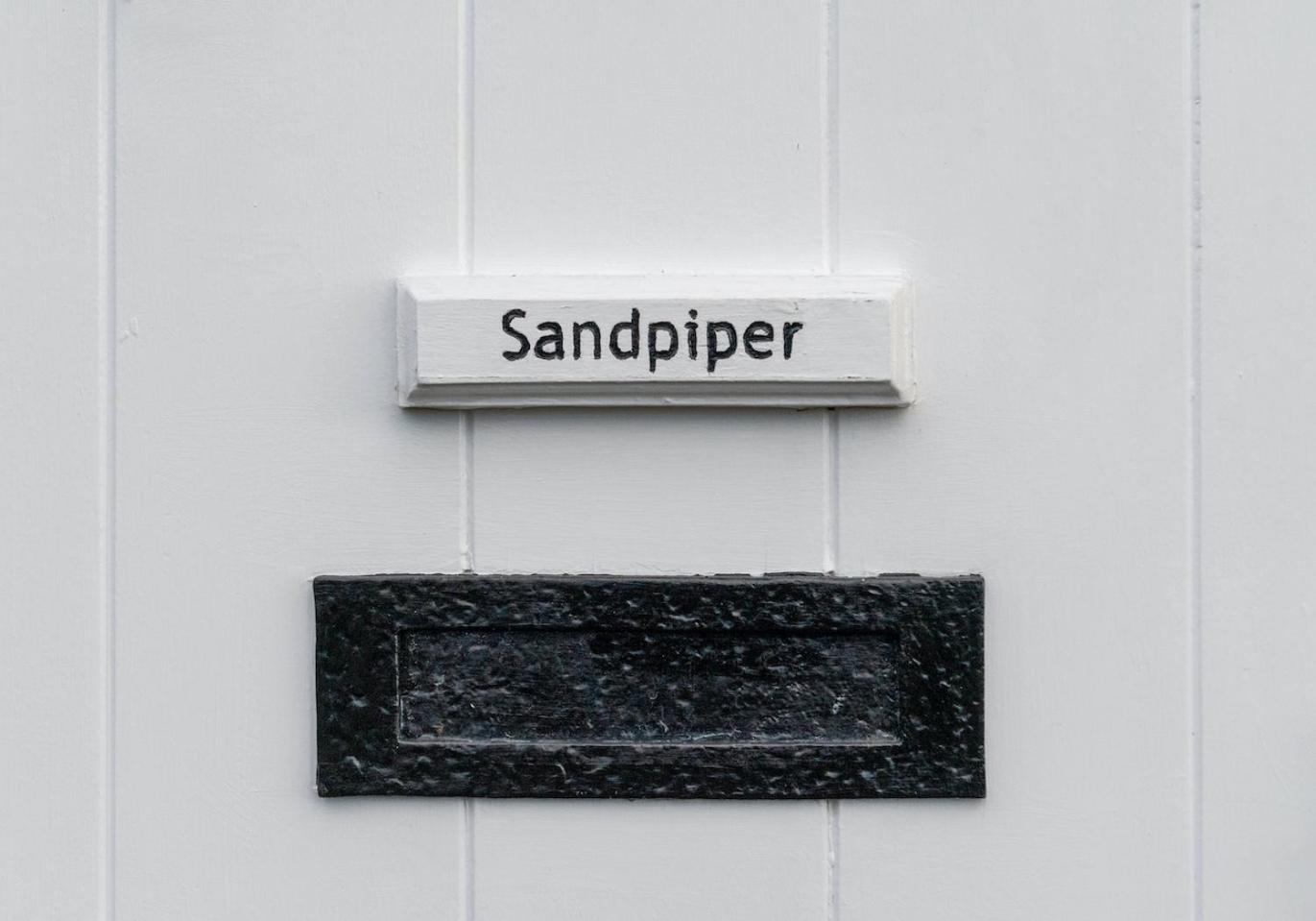 Sandpiper