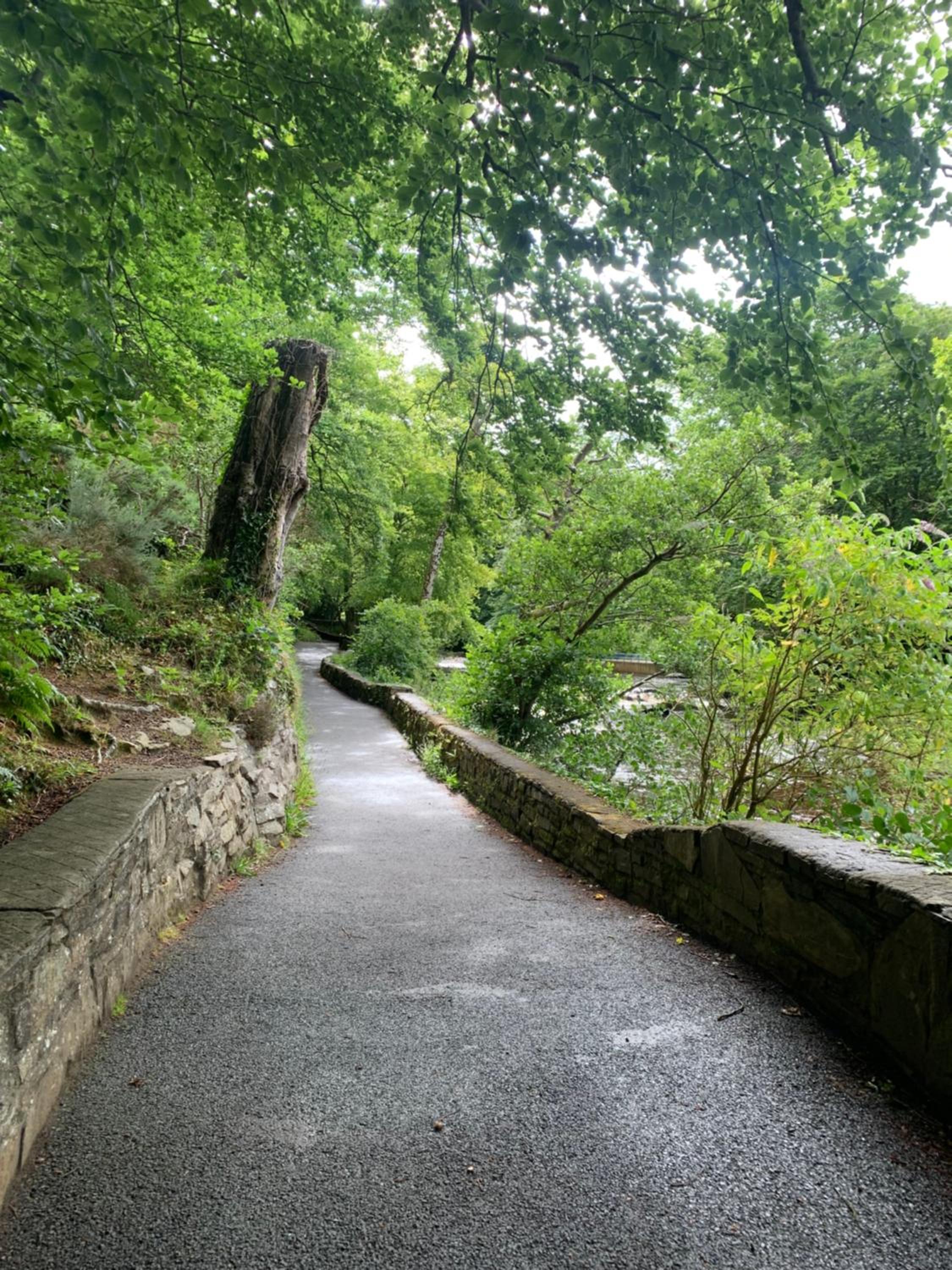 Photo 9