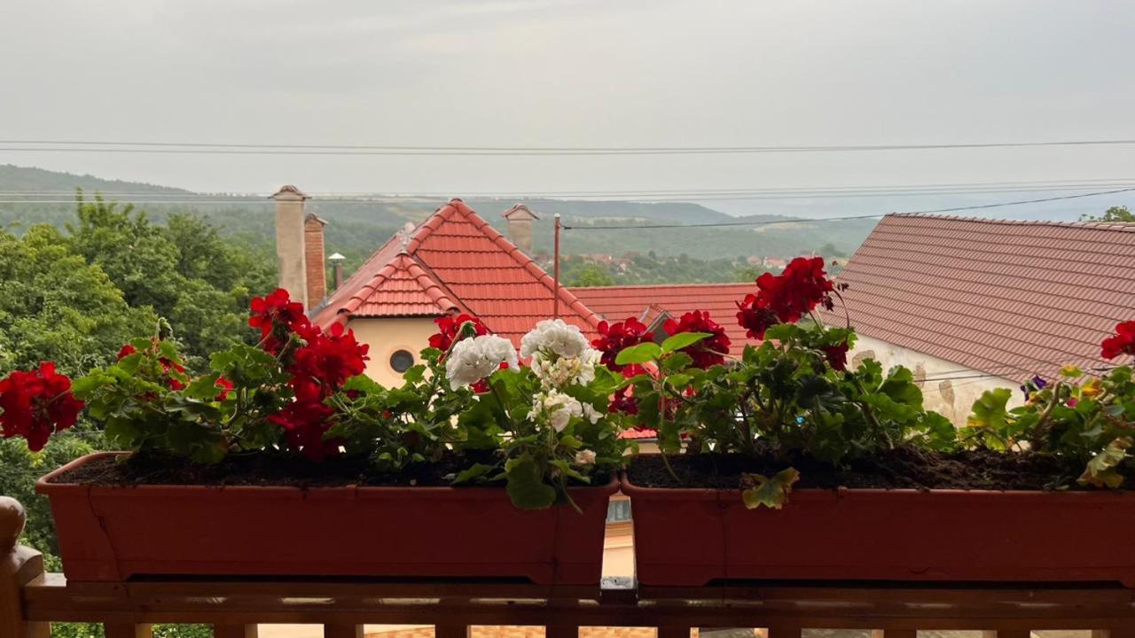 Pensiunea IULIA view 3
