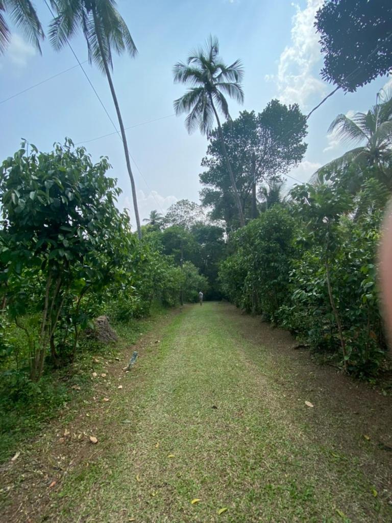 Photo 24