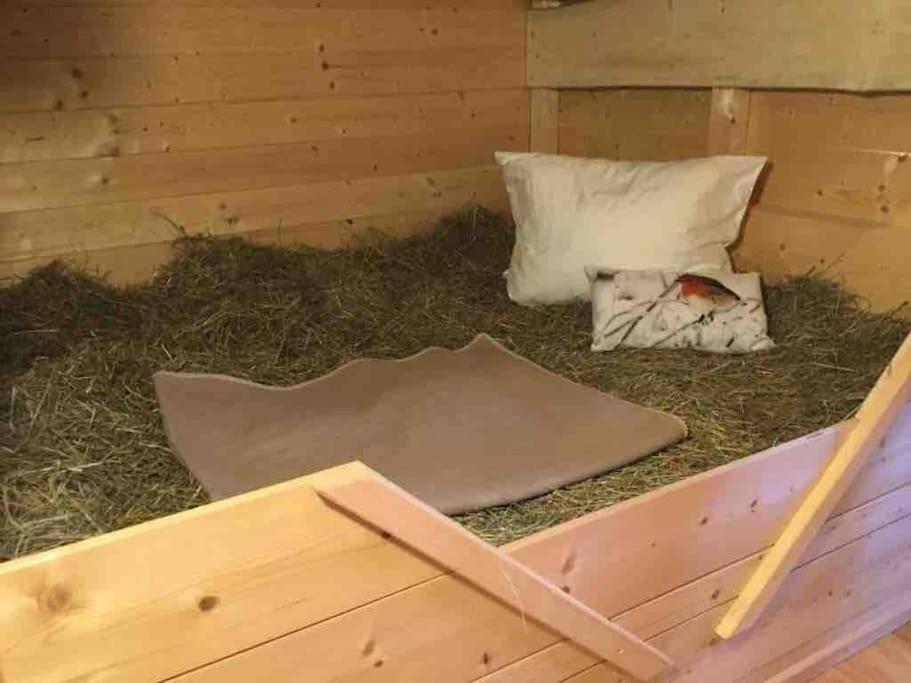 Chalet mit Almhüttencharme für bis zu 11 Personen