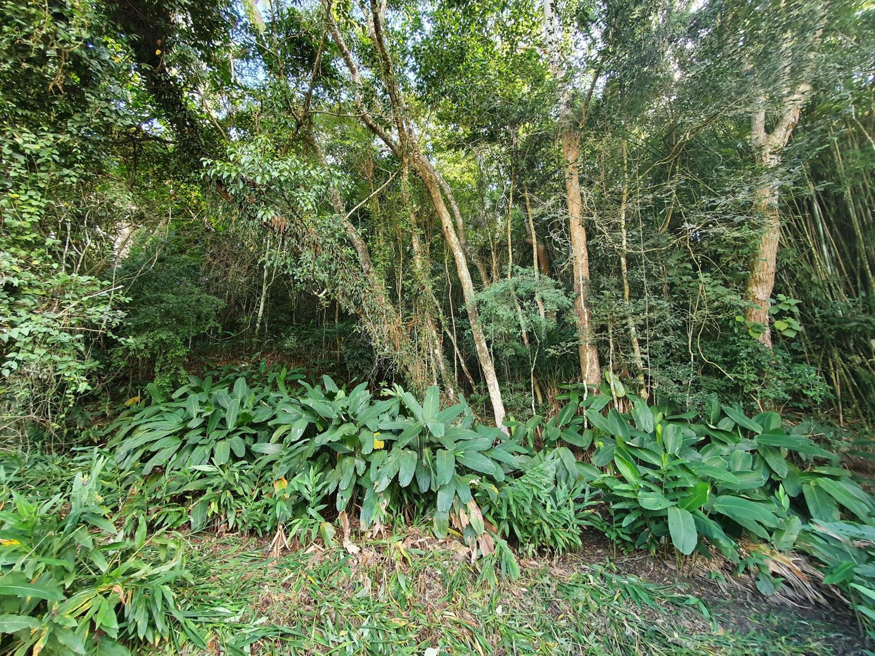 Sitio Carpir - conforto, charme e natureza a 2h de SP