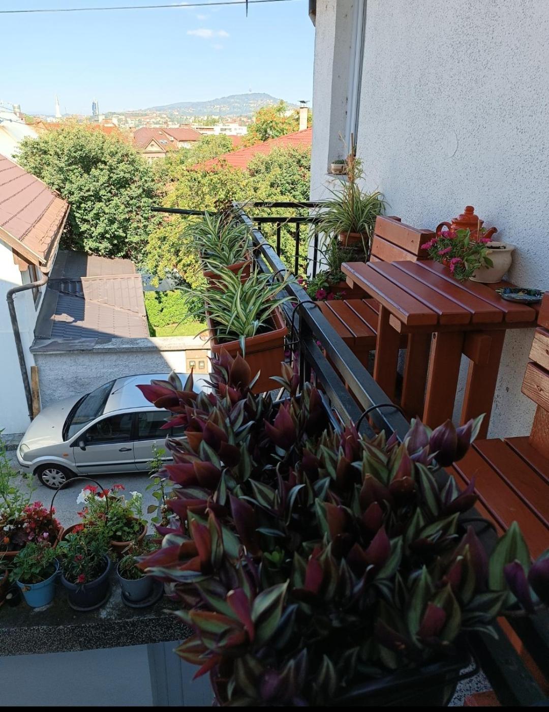 Apartman Ohren