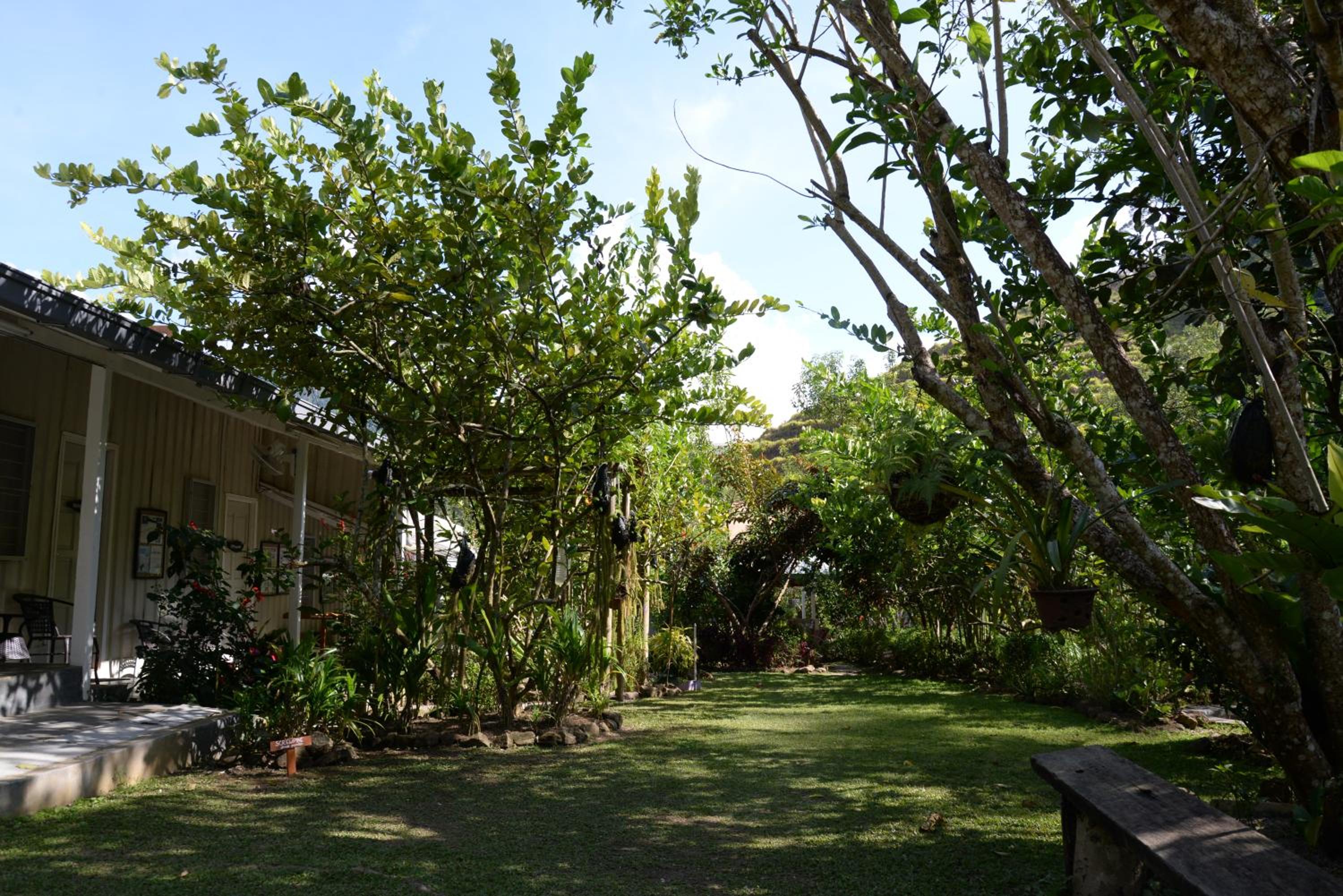 Moonriver Lodge
