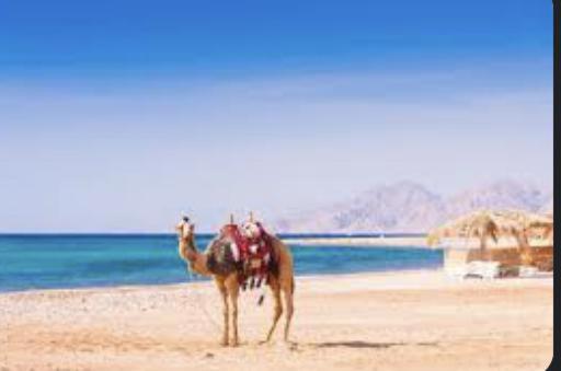 Beautiful Villa with Pool in Hurghada