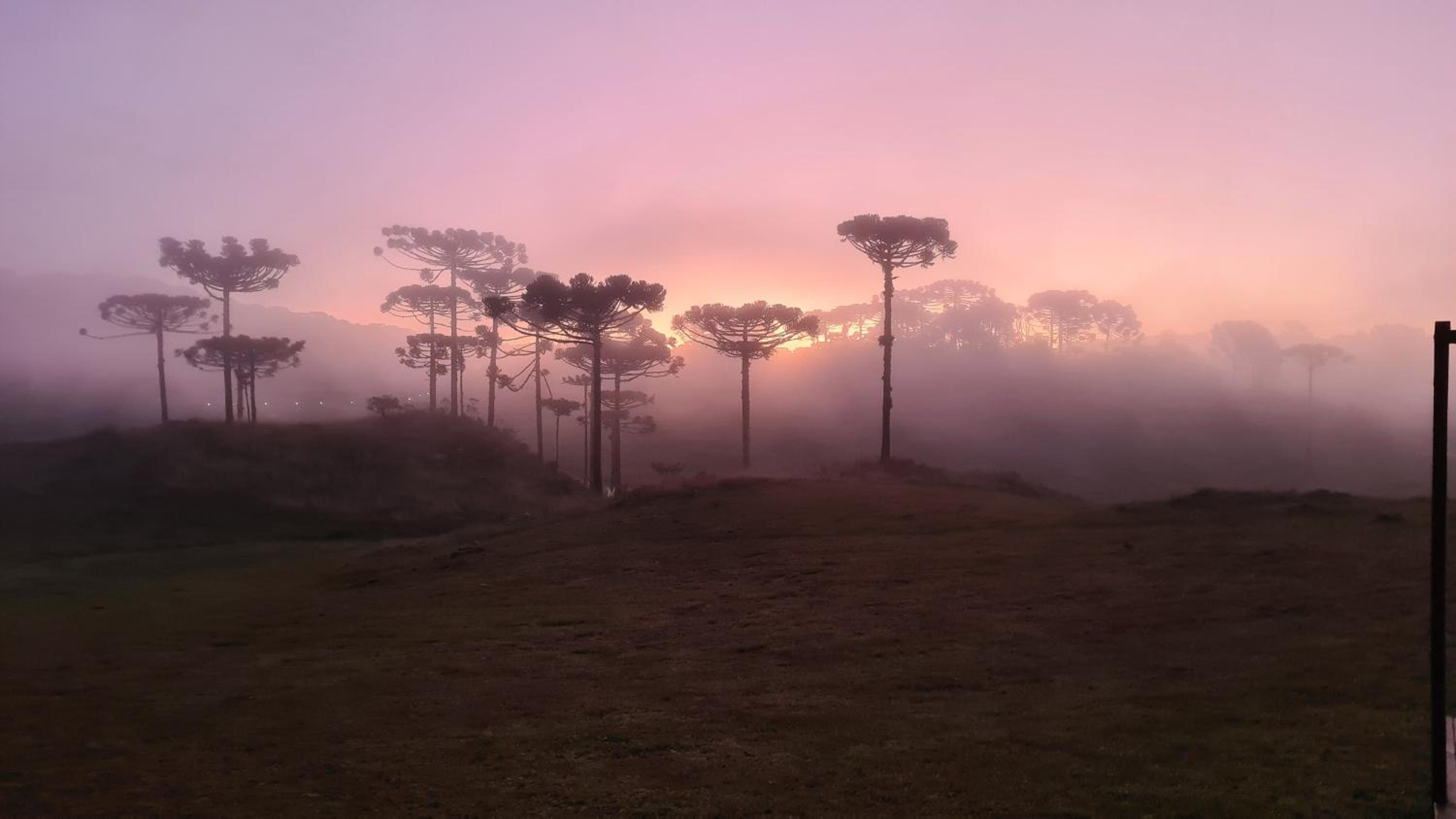 Brumas Casa de Campo - Cambará do Sul