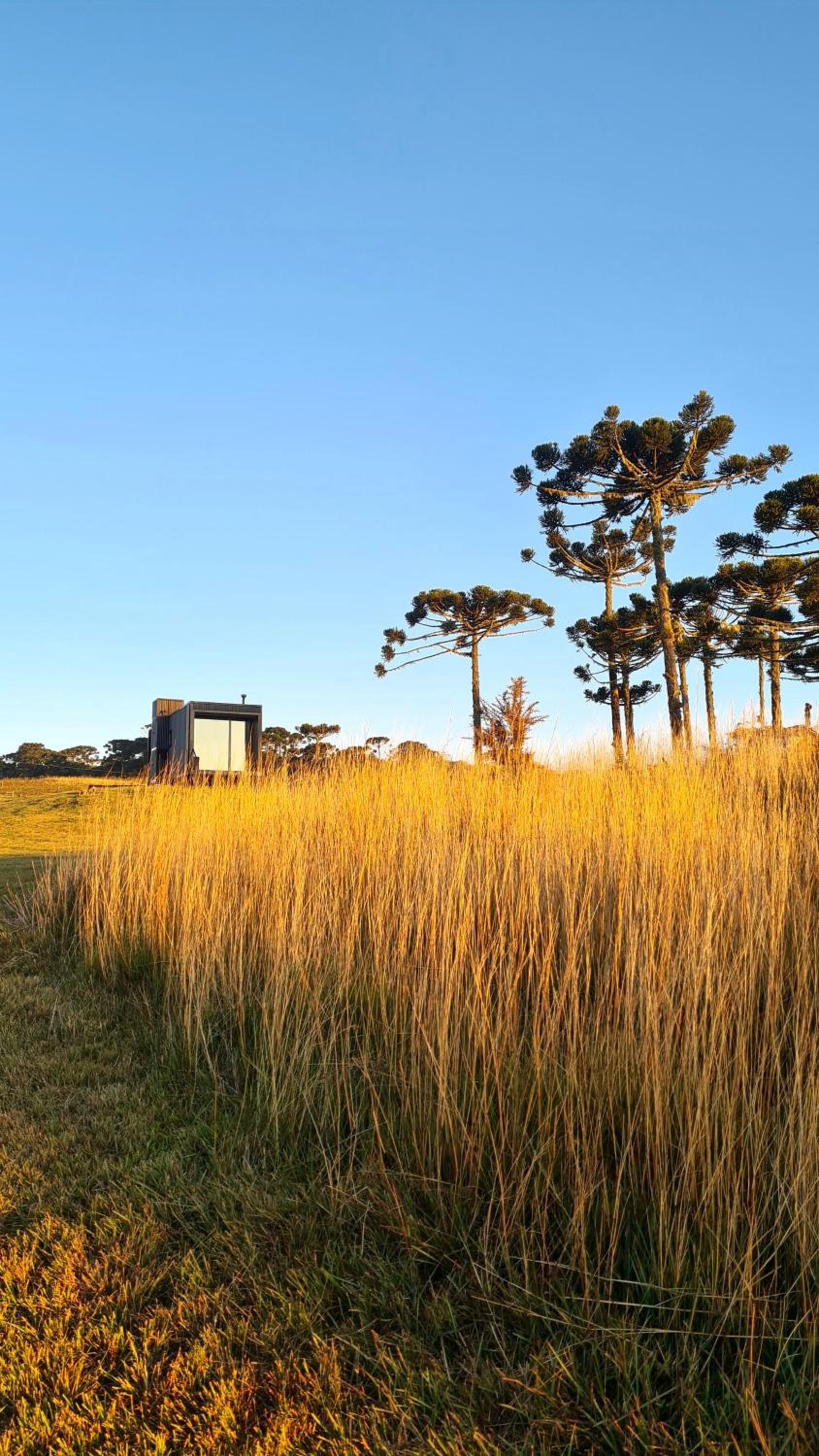 Brumas Casa de Campo - Cambará do Sul