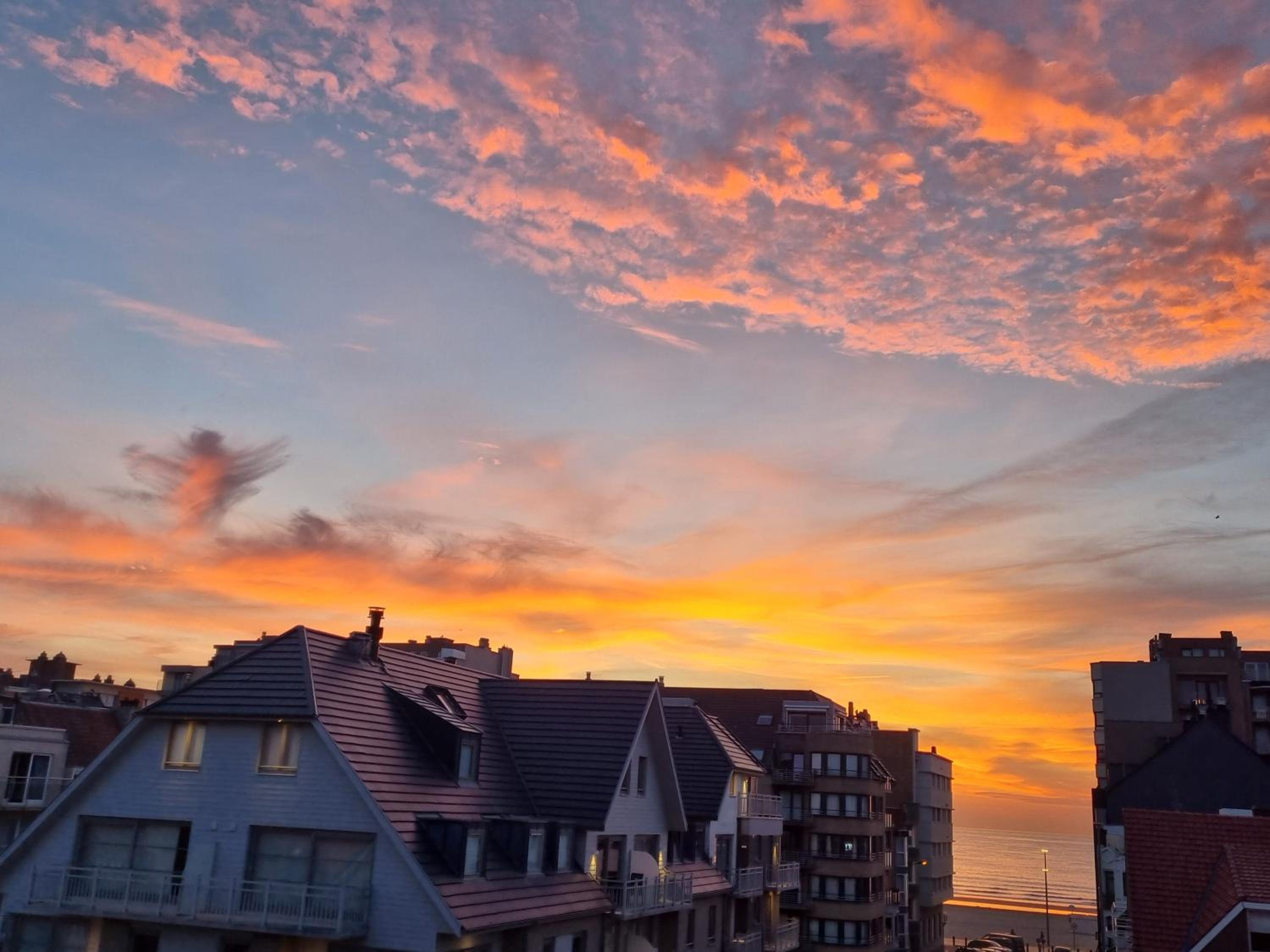 Kunstenaarslaan De Panne