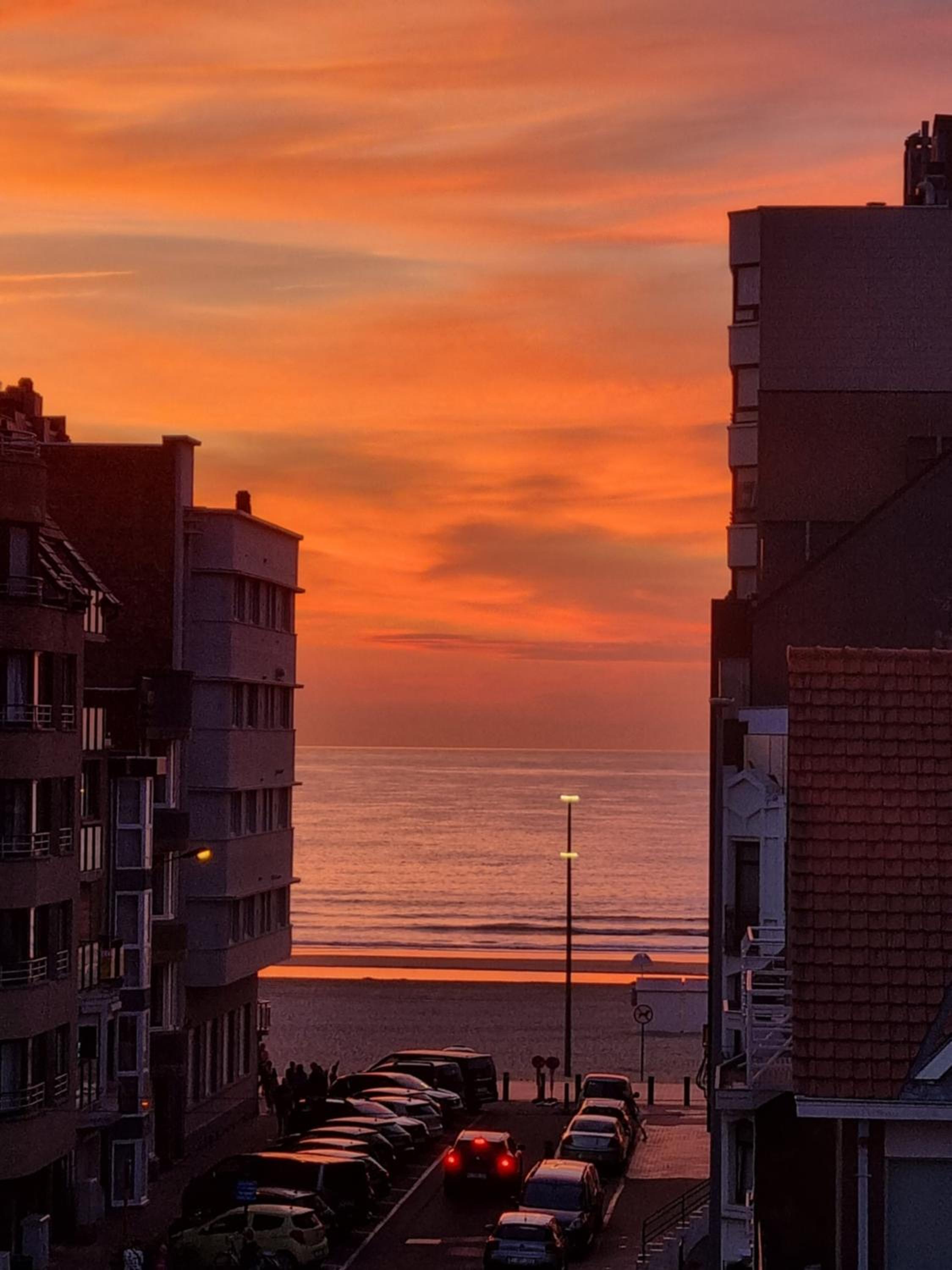 Kunstenaarslaan De Panne