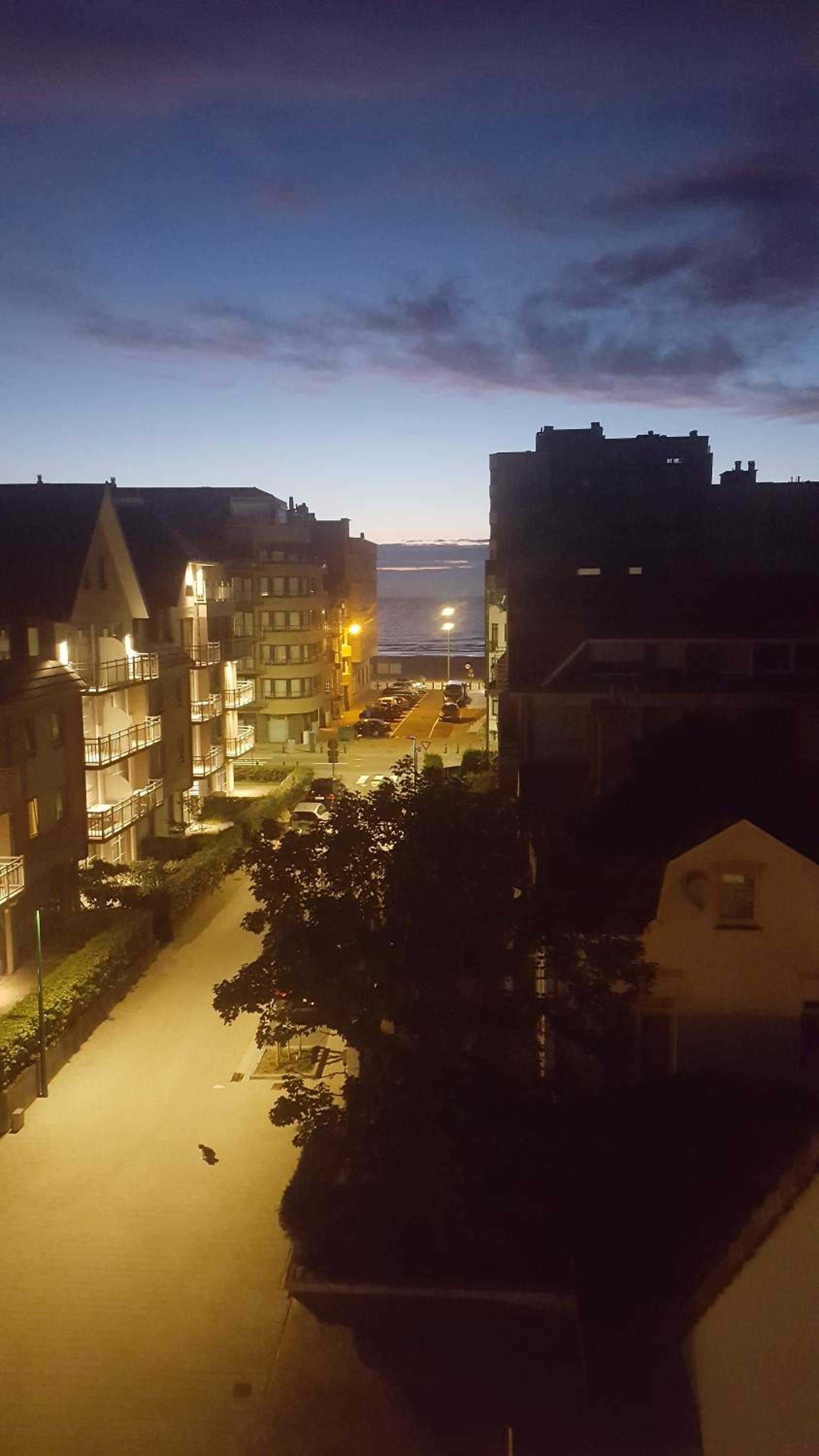Kunstenaarslaan De Panne