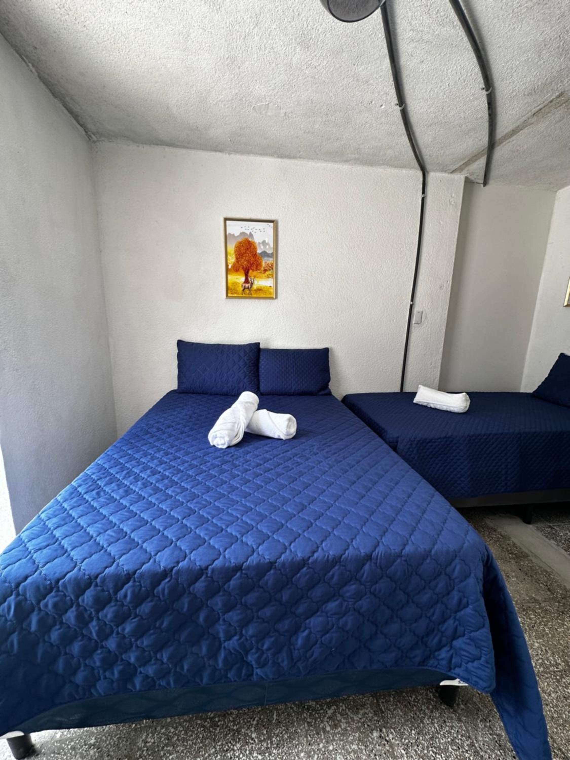 CASA MAGNOLIA
