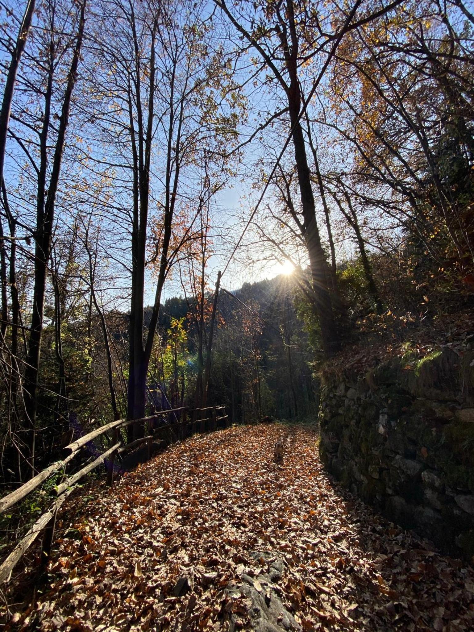 Cà dell'Agrifoglio view 4