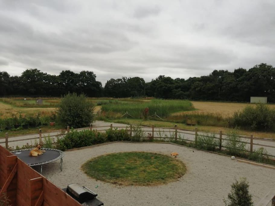 Lillibelles lodge,Oak tree farm view 3
