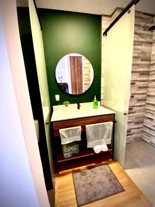 Luxury apartment on city center