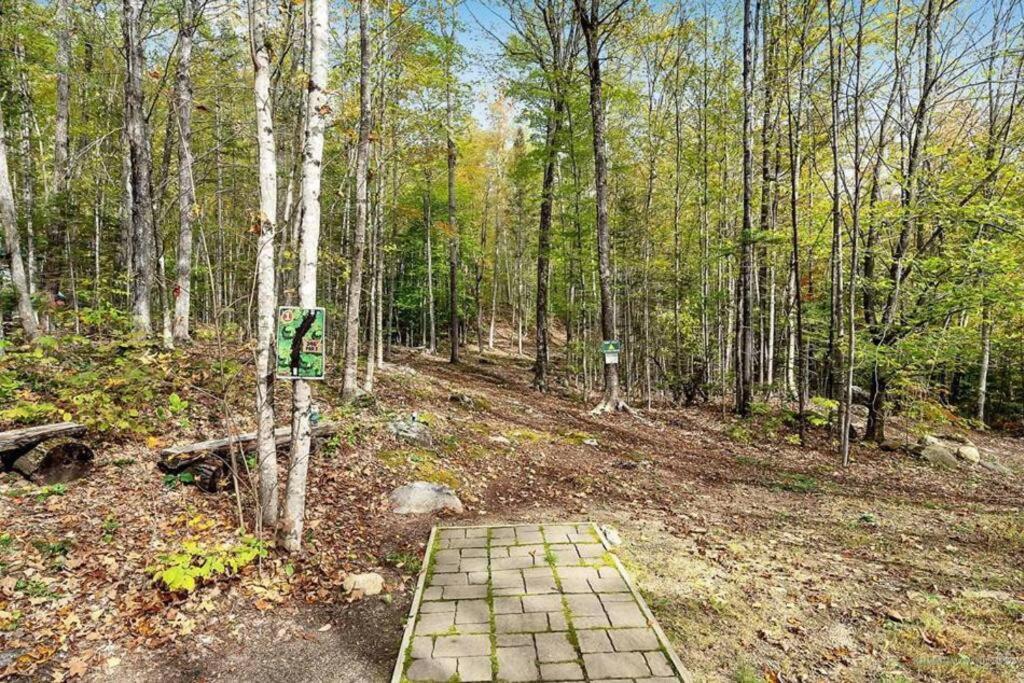 Cabin in Maine Woods-The Bogey view 2