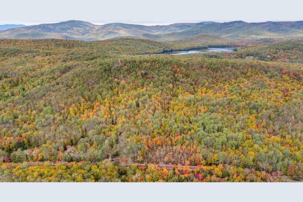 Cabin in Maine Woods-The Bogey view 4
