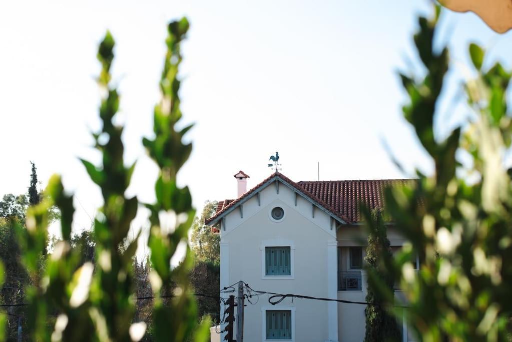 Central Kifissia BLέ LÍMε ÁPPεROL Malomar Homing photo 1