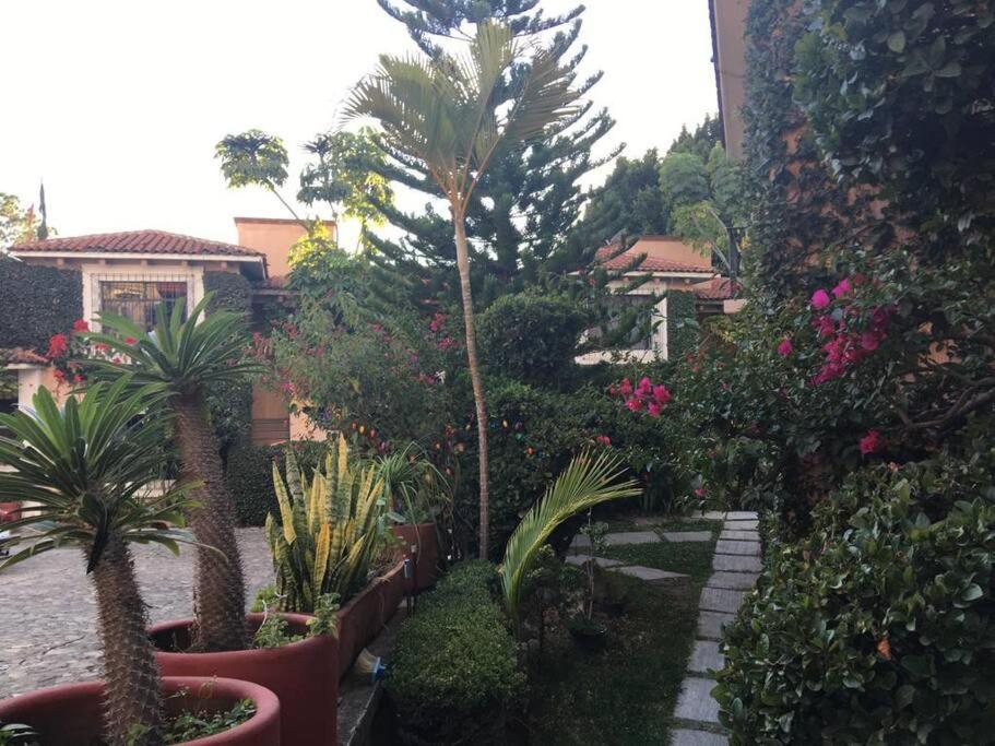 Photo 8