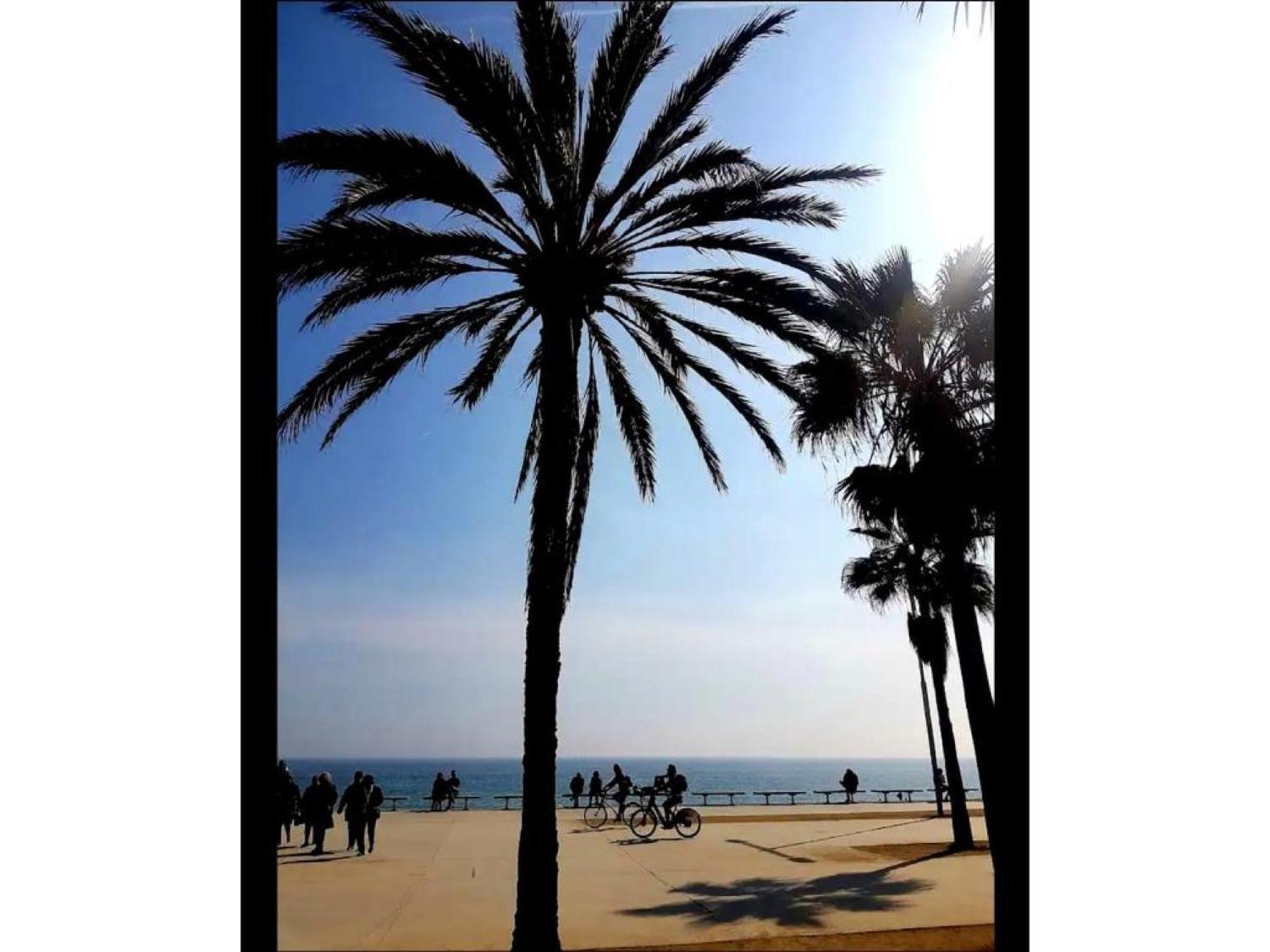 Comfort Home Playa Poblenou
