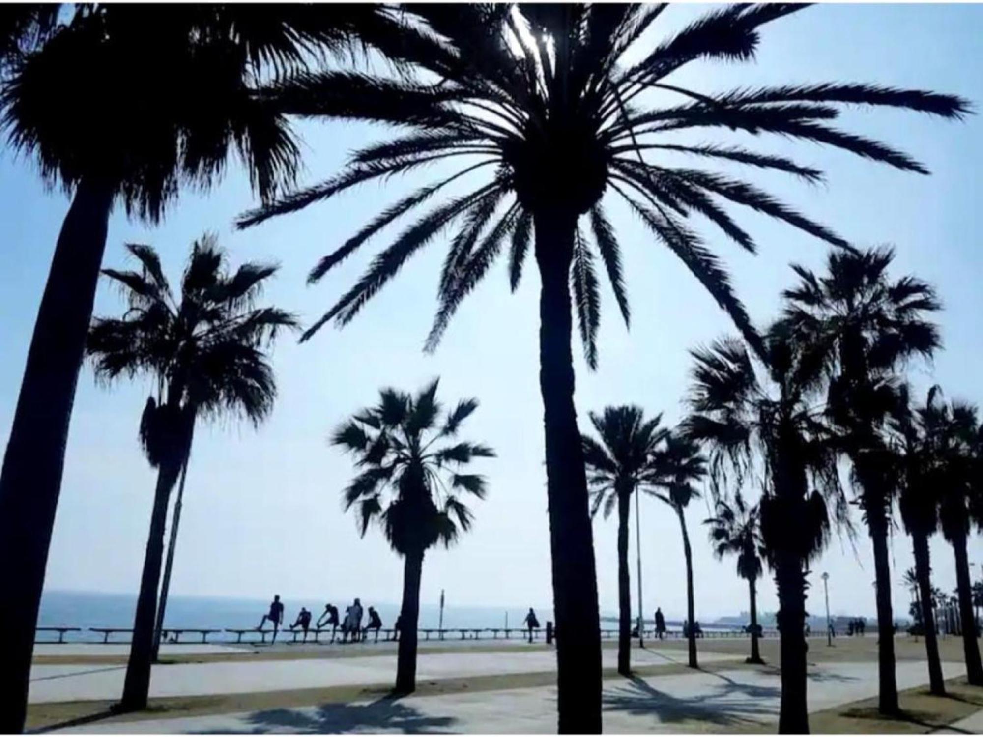 Comfort Home Playa Poblenou