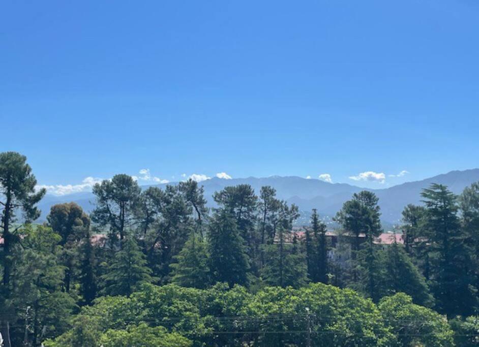 Mountainview