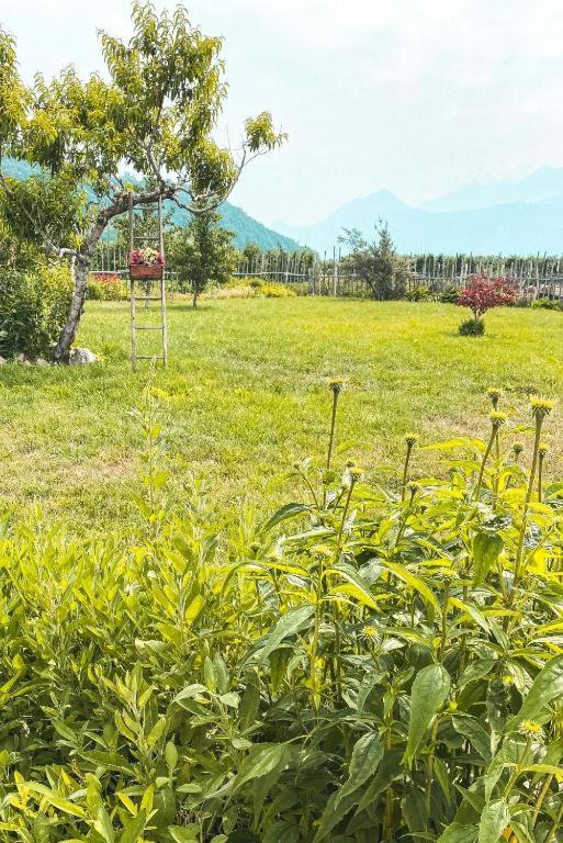 AGRITURISMO DAL PEROTIN photo 4