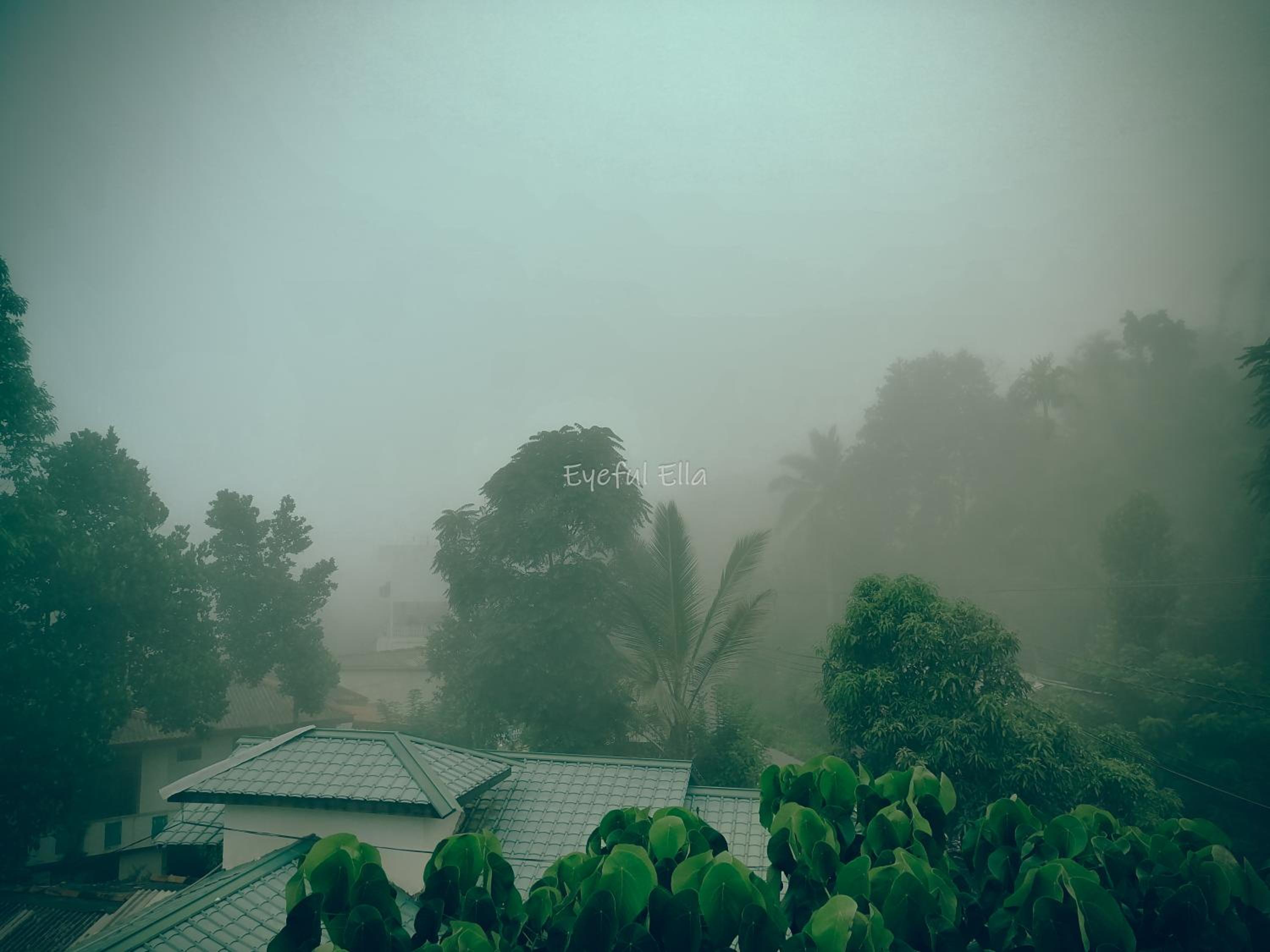 Eyeful Ella Hostel view 5