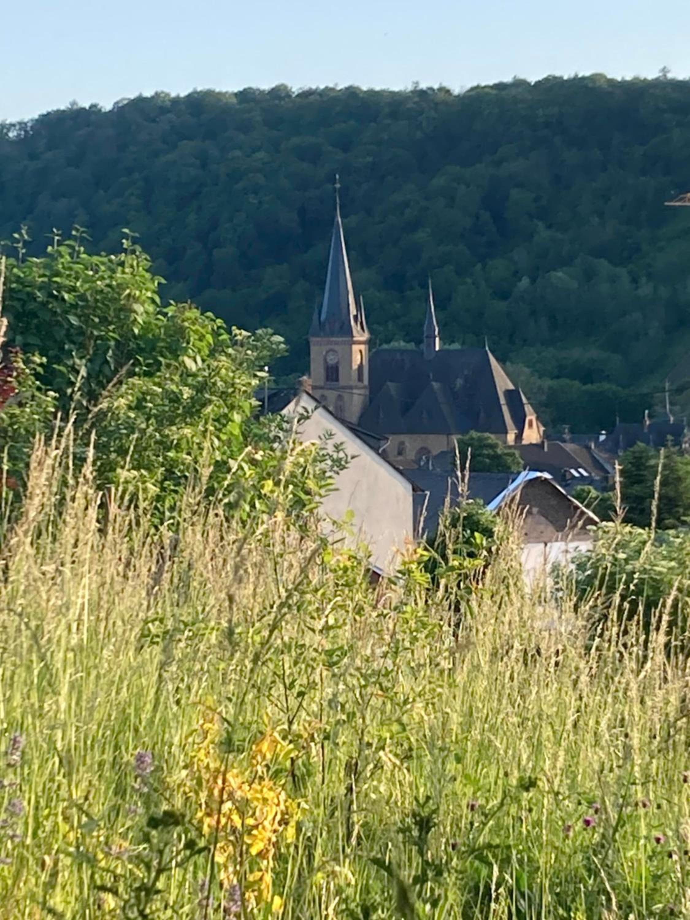 Haus Rosenberg