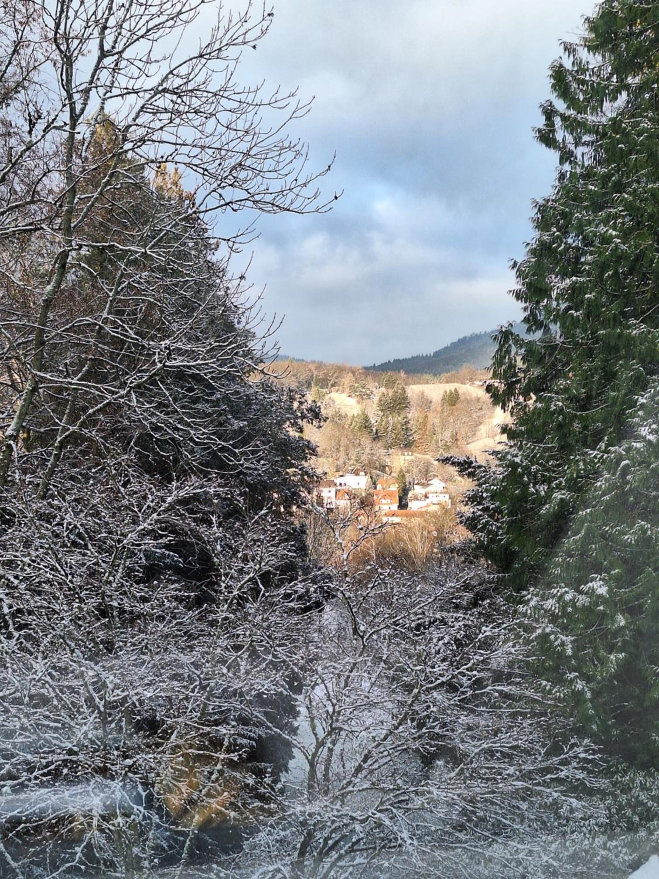 Bed & Breakfast Grünes Gold am Leisberg