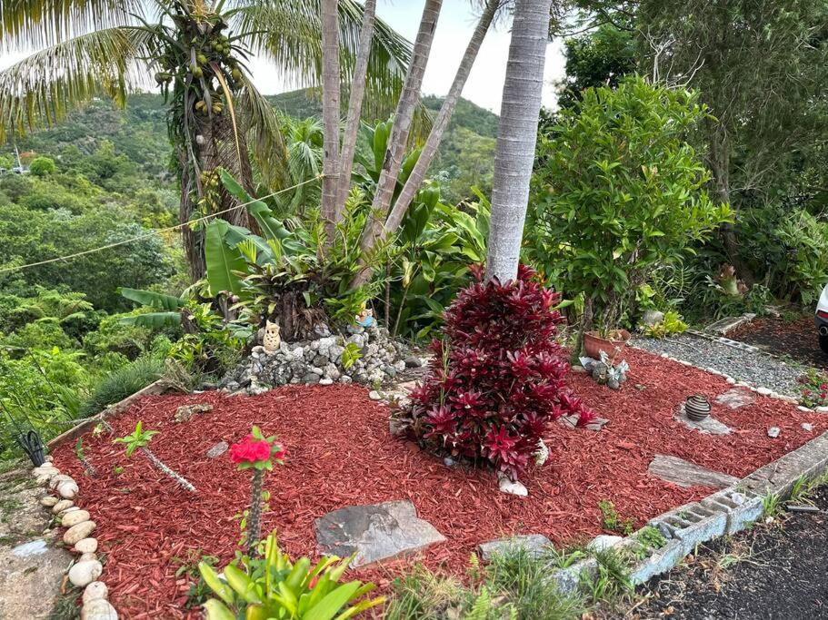 Casita de Campo/ Peace Cottage view 2