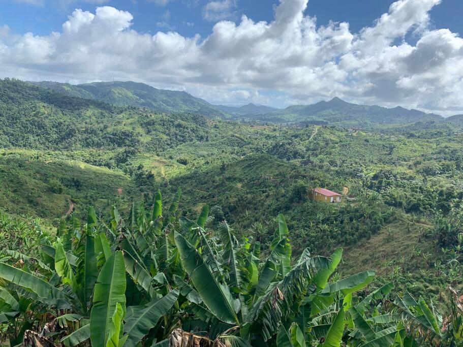 Casita de Campo/ Peace Cottage view 4