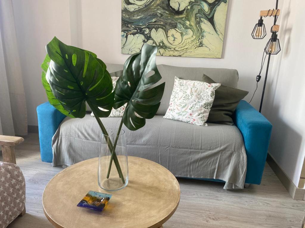 Rotonda Apartaments