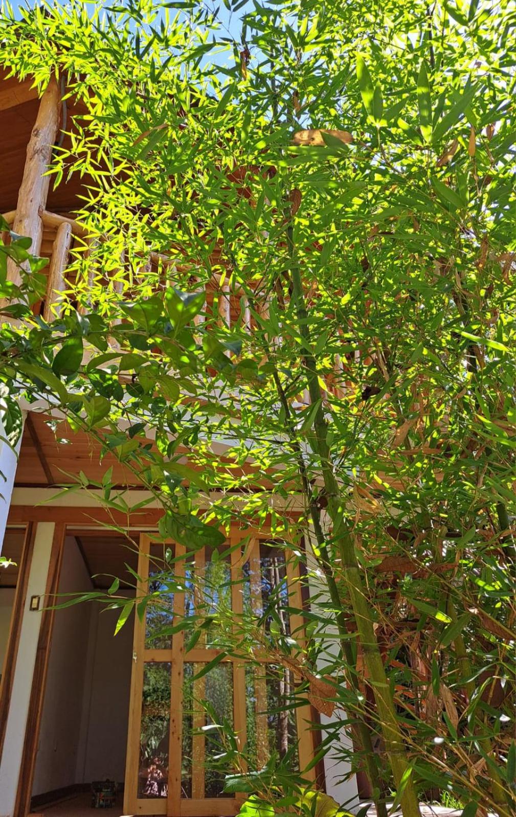 Refugio de Orquídeas