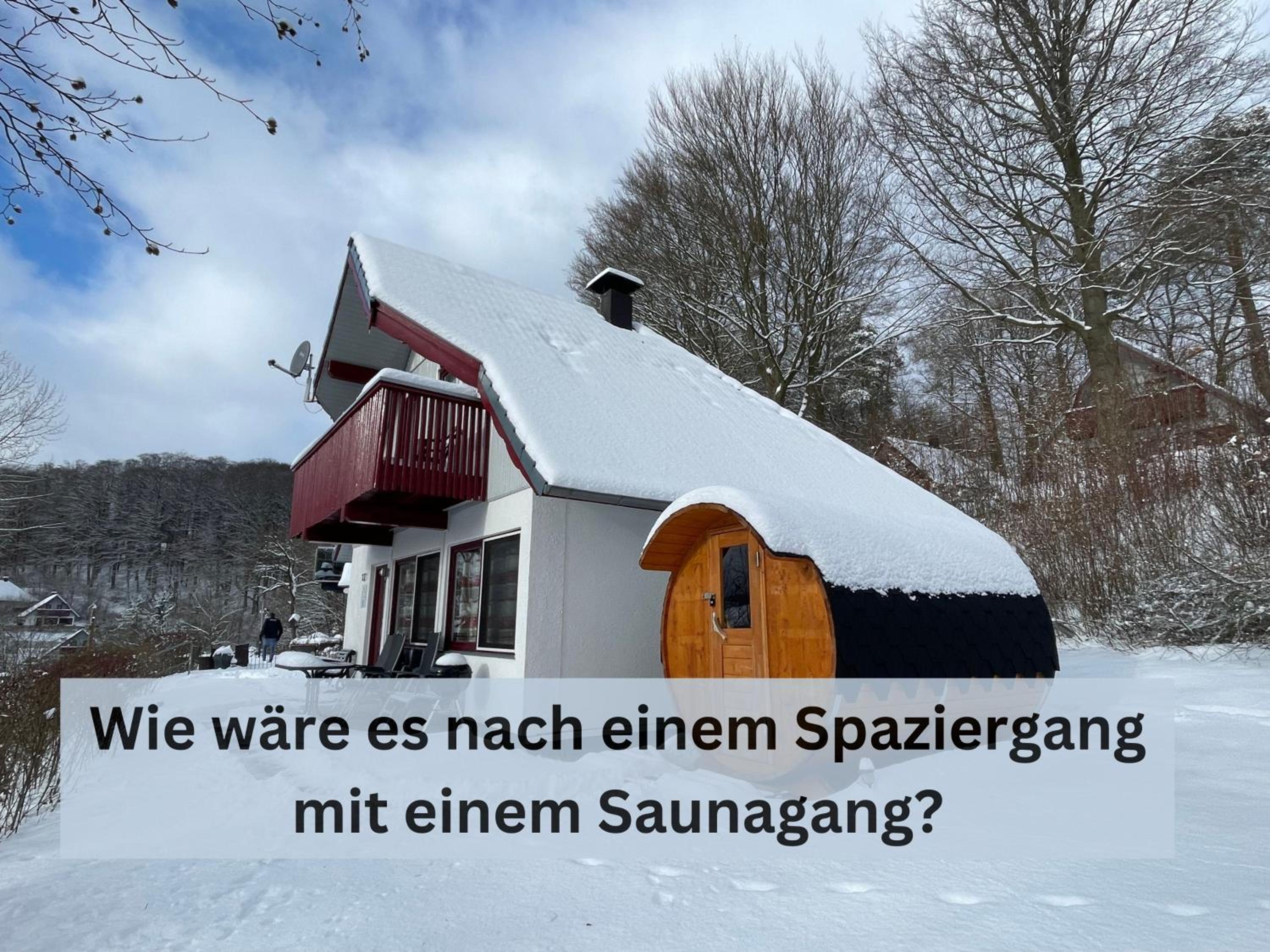 Entspannung in der Natur mit Seeblick und Sauna - Ferienhaus Felix von Mein-Seepark