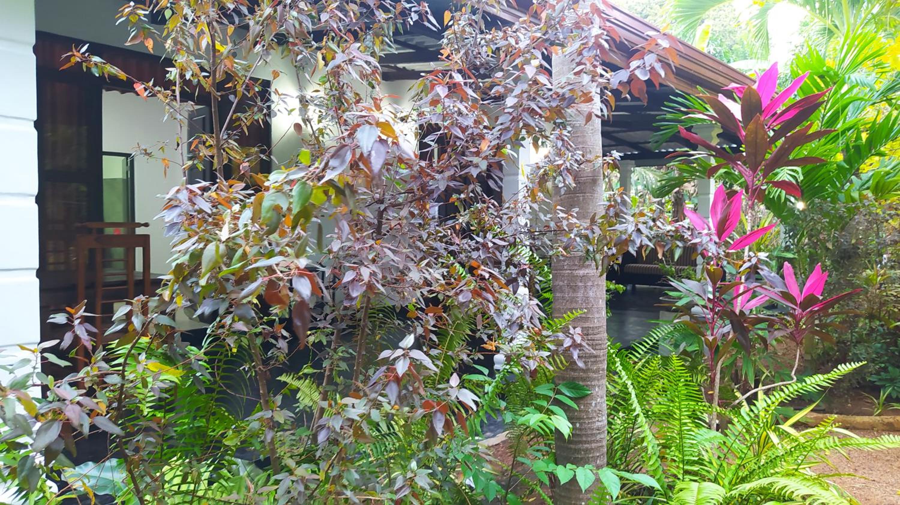 Photo 42