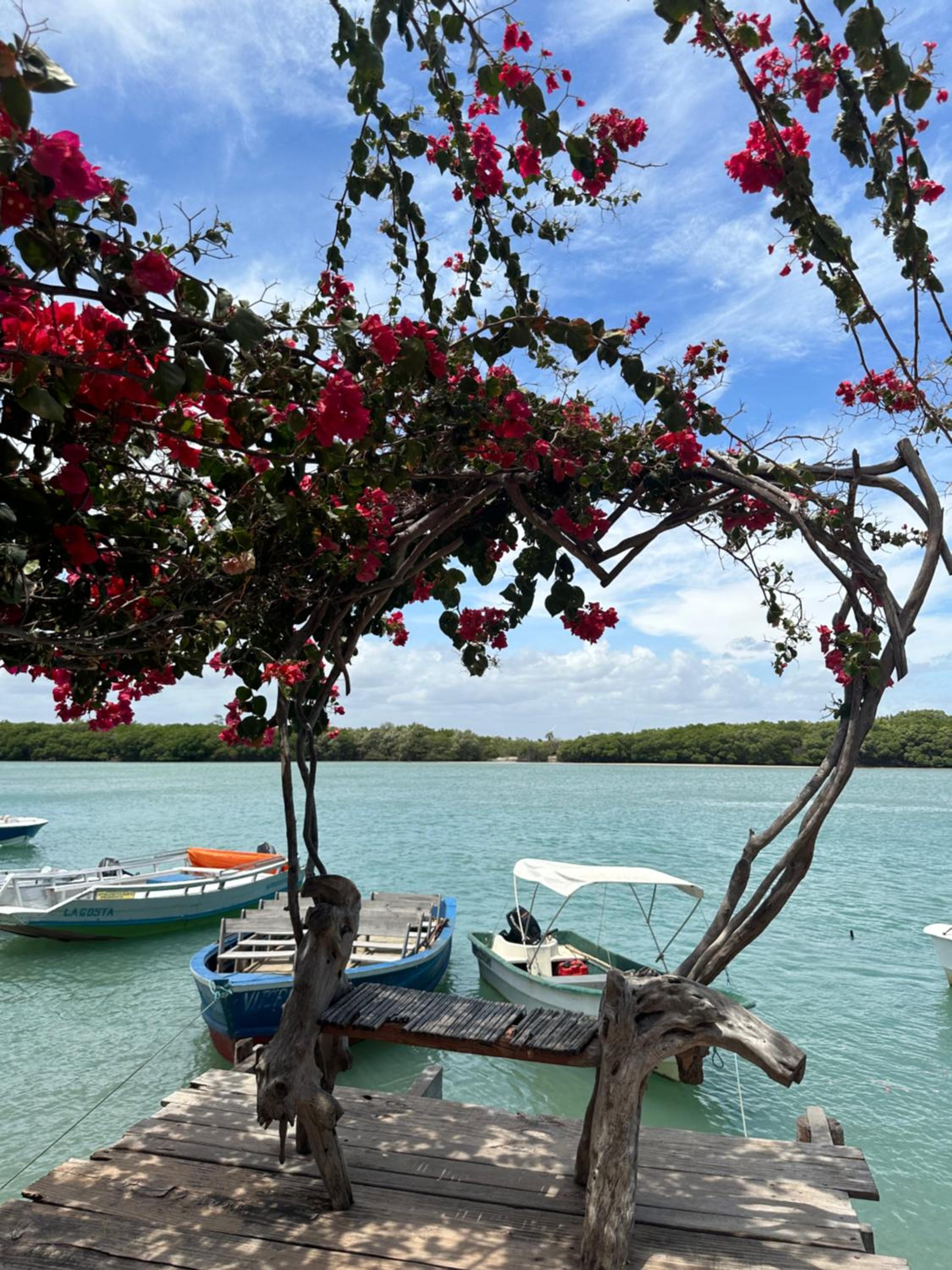 Kanaloa Village 02