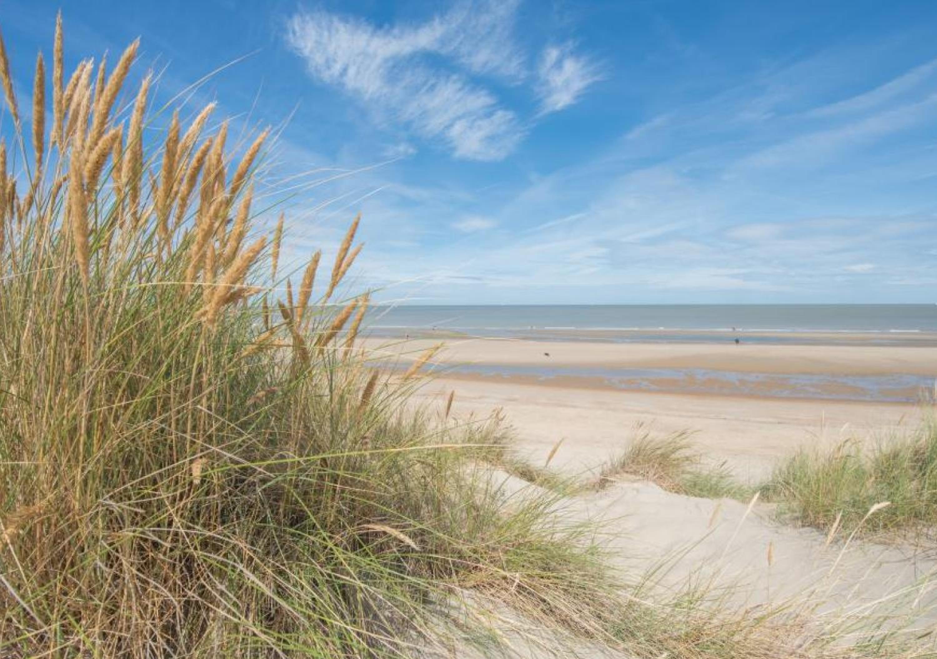 Salty - Vakantiehuisje op de grens van Bredene-De Haan