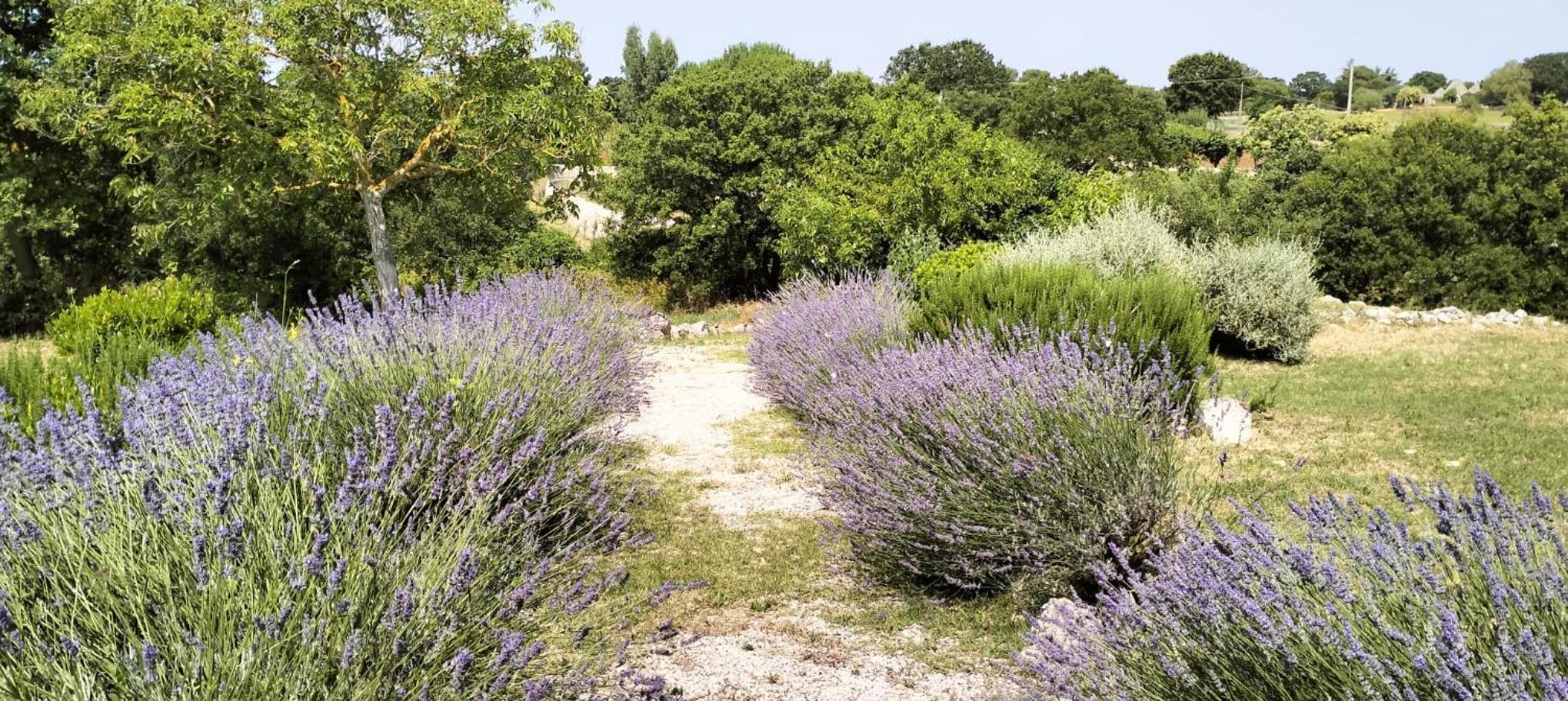 Photo 114